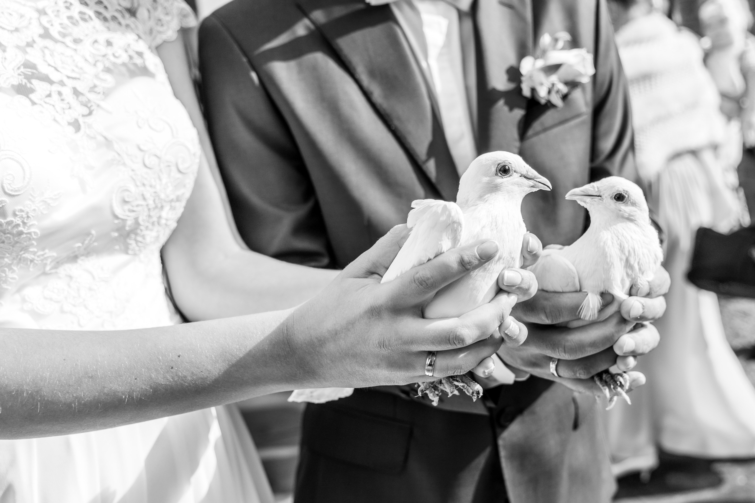 Фотограф в Таллинне