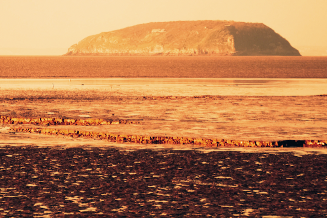 Creative artistic discovery portrait session exploring movement and nature in the UK countryside