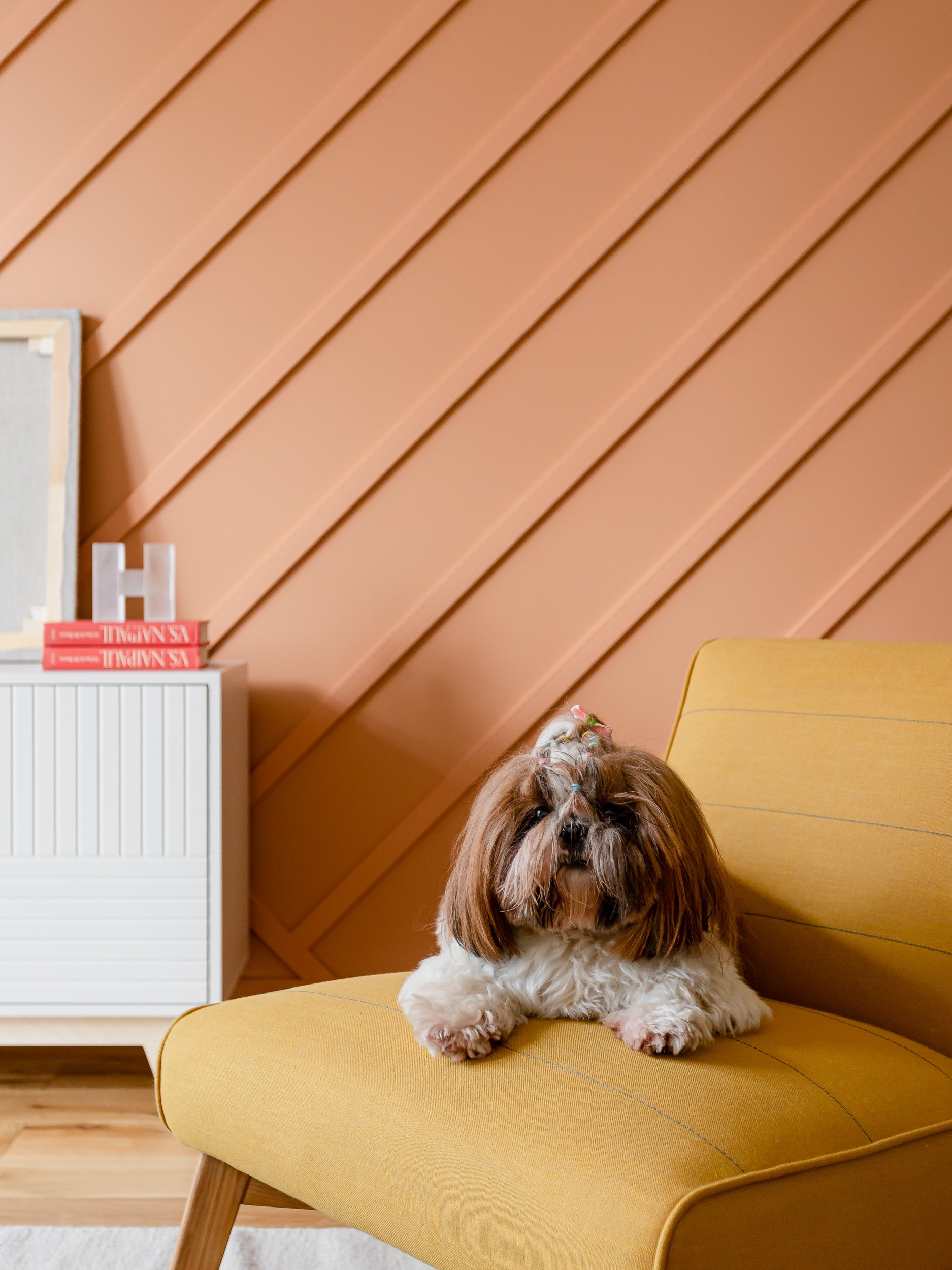 Терракотовая стена и кресло