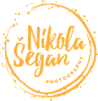 nikolasegan.com