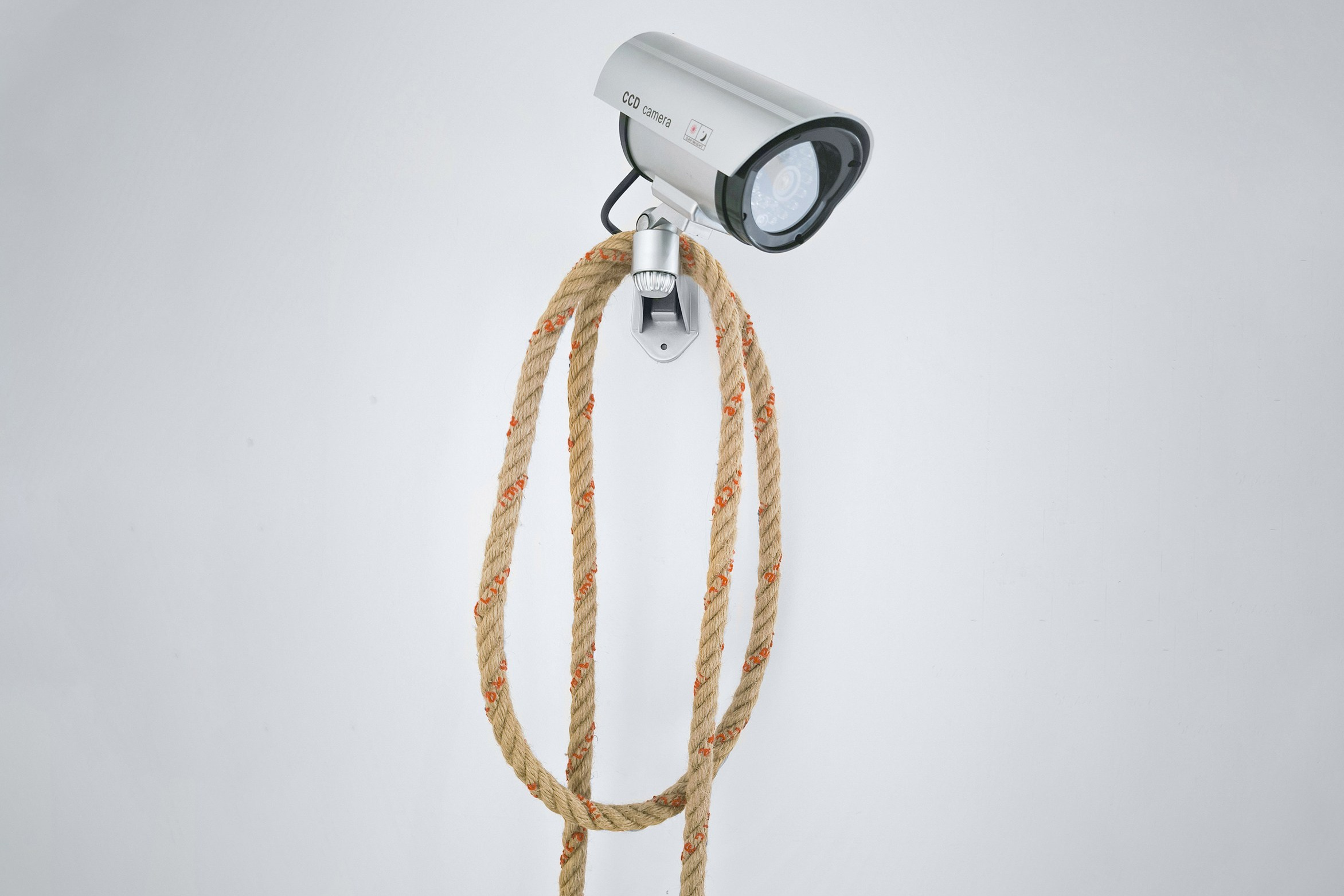 Object picket / 2023. Daria Goncharova / Conceptual artist