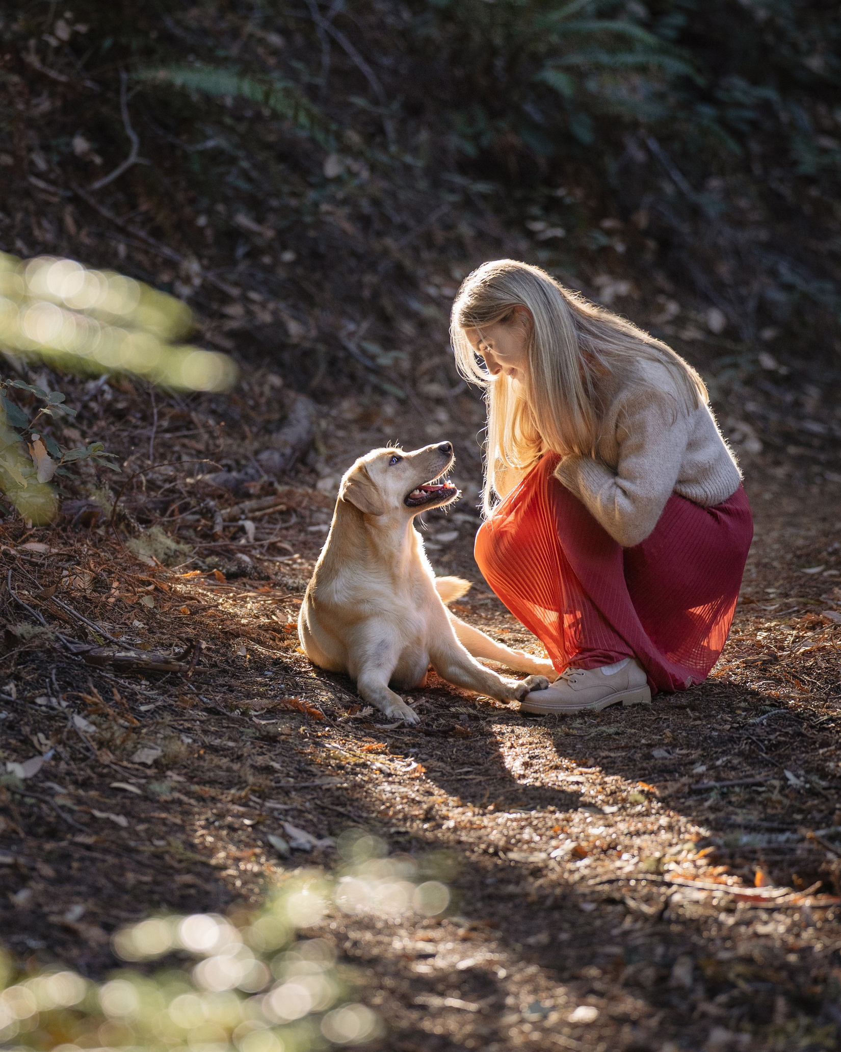 Pet photography. Levantera Photo San Francisco Bay Area Photographer Natalia