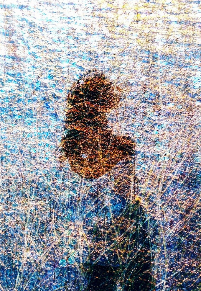 Limited Edition. Photographer artist Liashenko Oksana