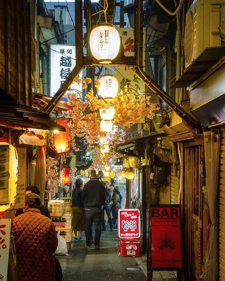 Momiji-gari Season In Japan. Pet, Senior, Landscape, portrait studio, photographer in Miami and Sou