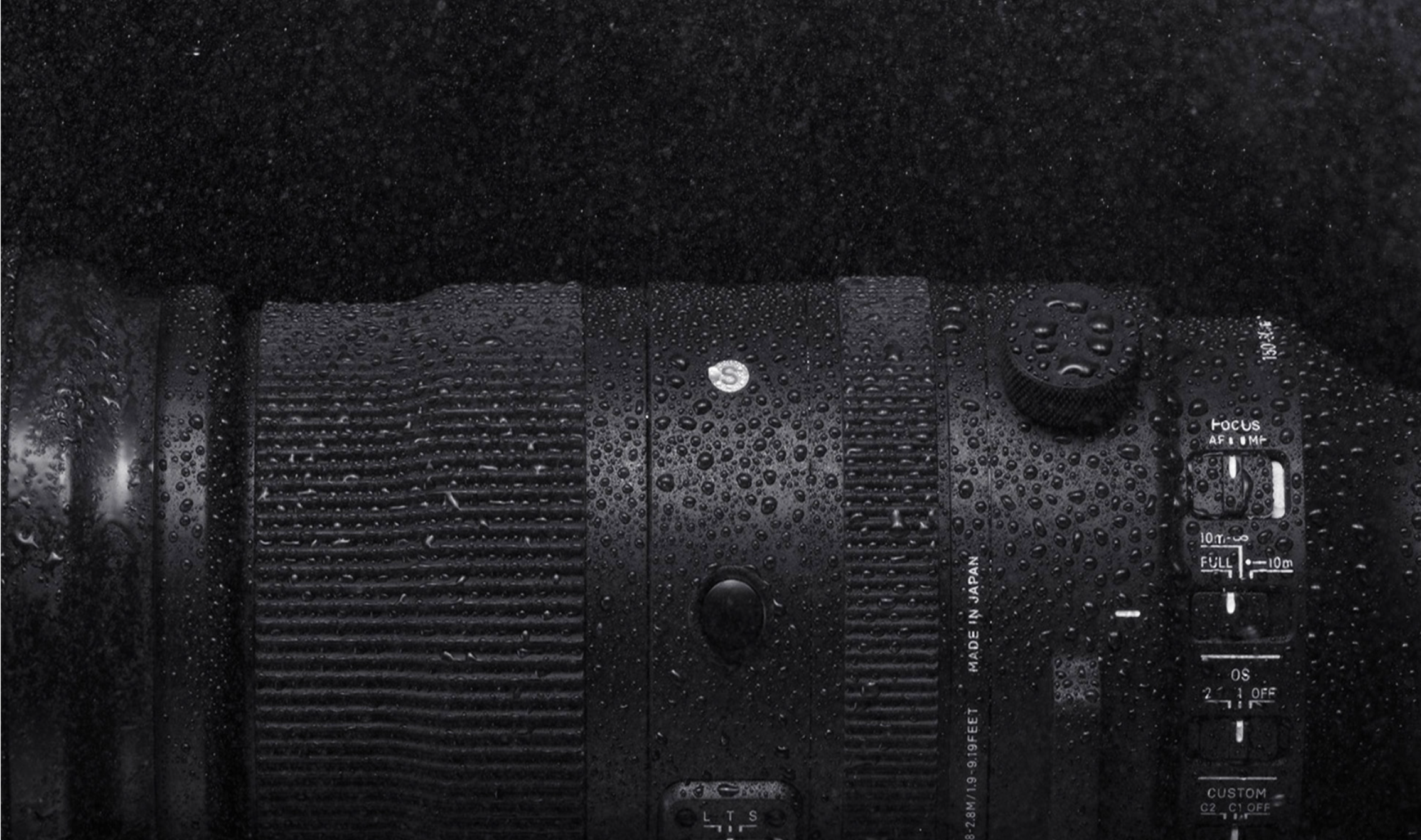 Обзор Sigma 150-600mm DG DN Sport. Фотограф Григорий Кравец