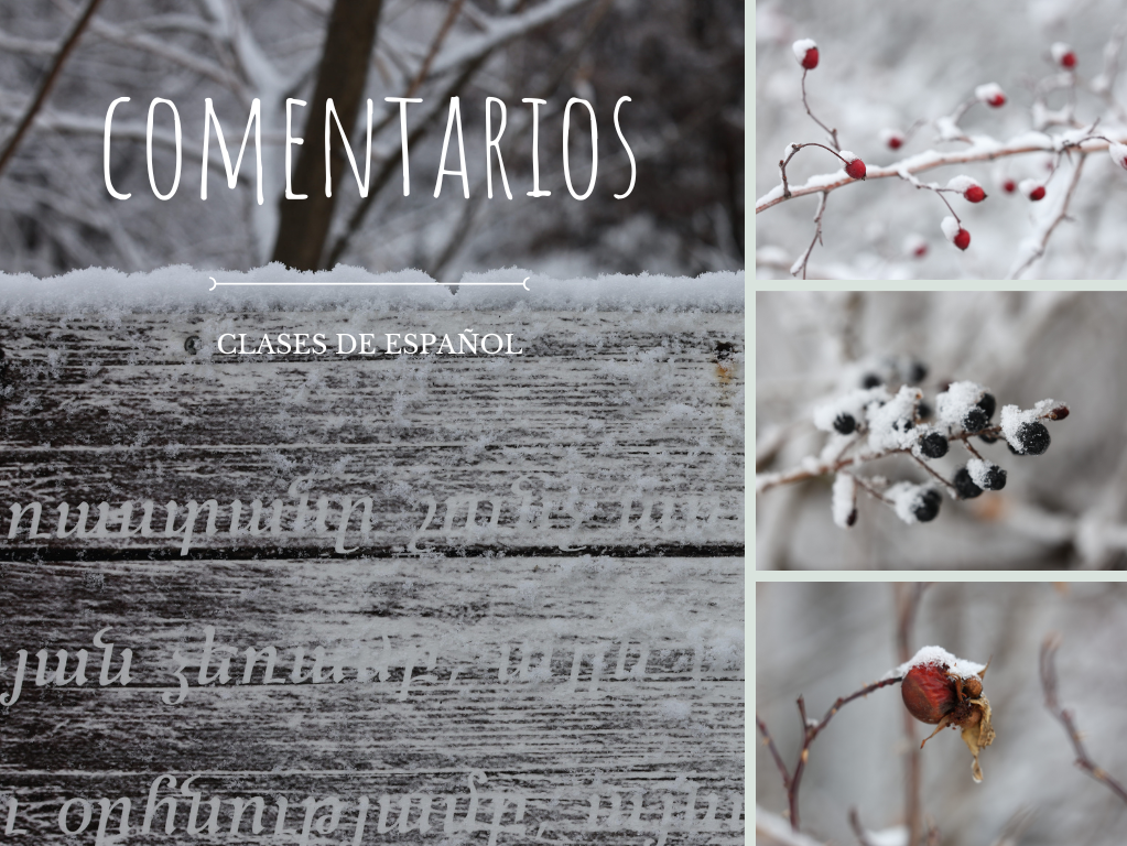 Opiniones de alumnos de español