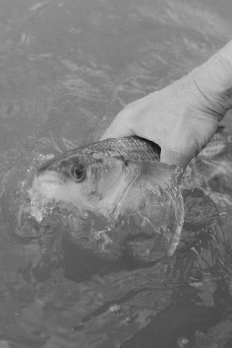 Anna Guseva | Visual artist