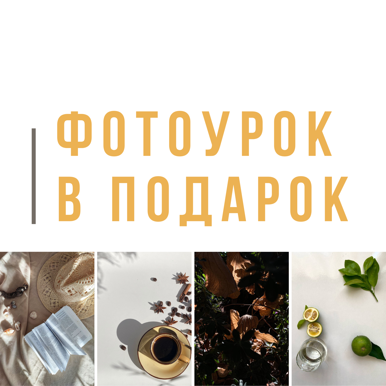 Сайт Ольги Беренштейн. Визуальный брендинг