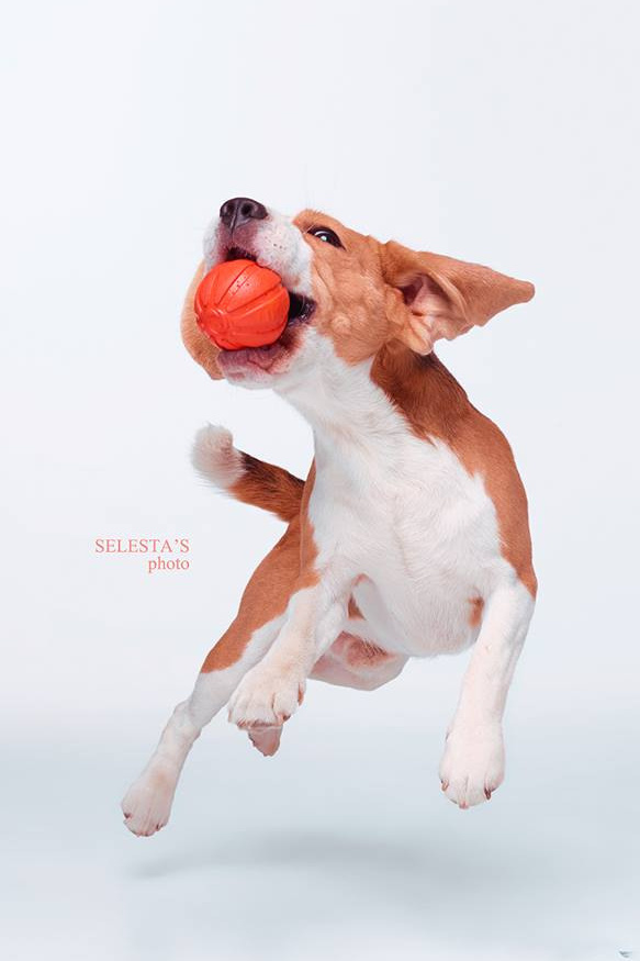 Фотограф Катерина Мумжинська