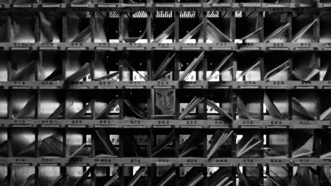 RECOMANDARE FILM NETFLIX. Daniel Hașiegan