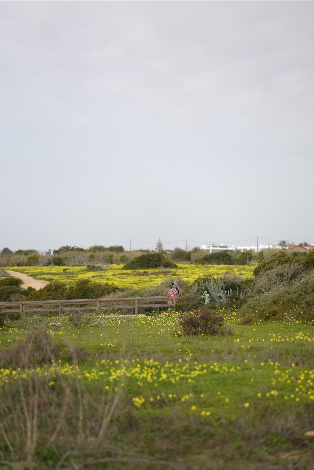 Atlantski ocean na portugalskoj obali