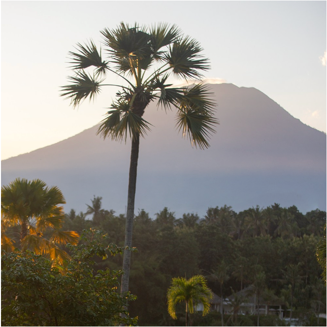 Май 6-15. Фото тур на Бали. Индивидуальный и парный фотограф на Бали — Bali Dream Photo