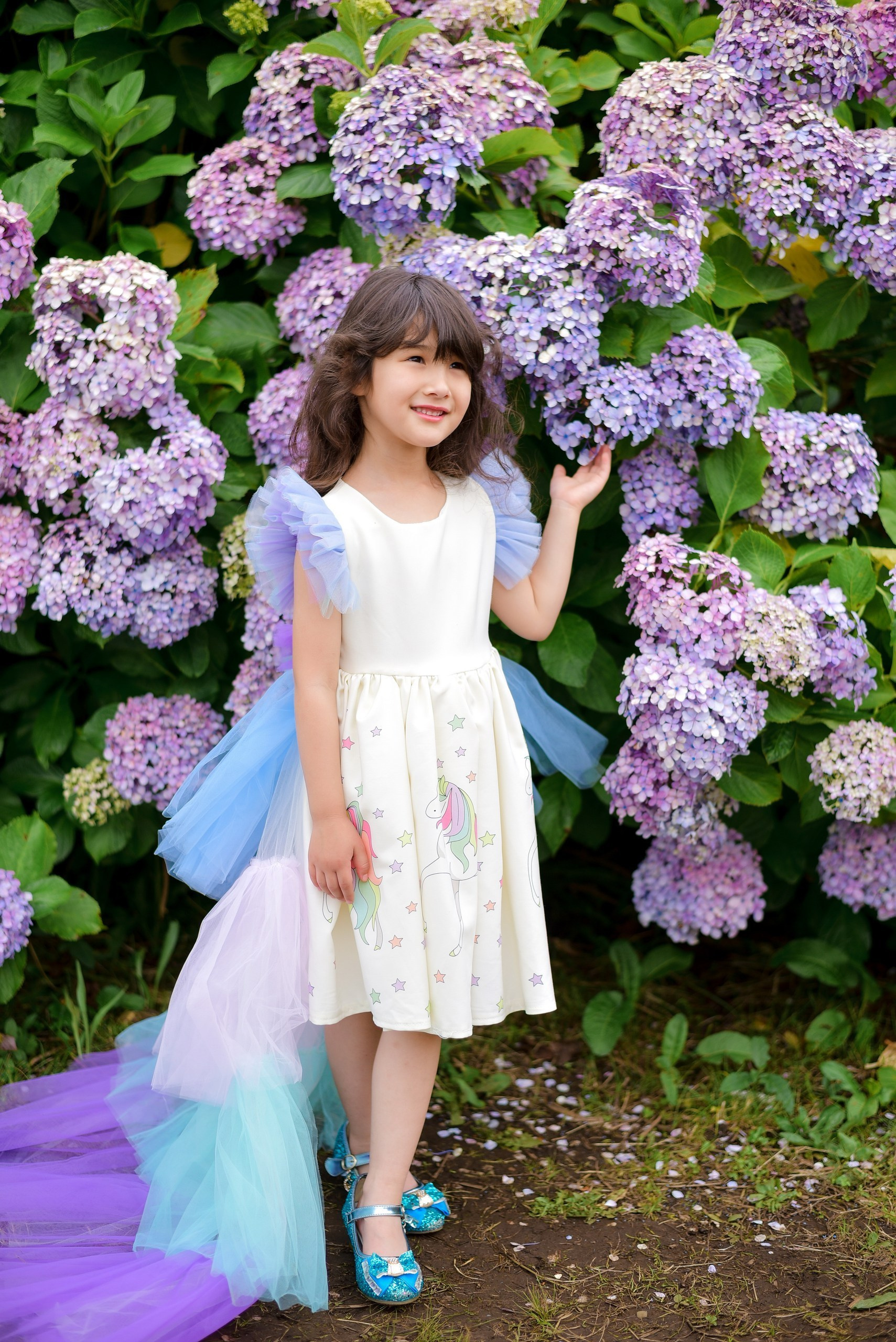 Hydrangea. Photographer in Tokyo, Japan