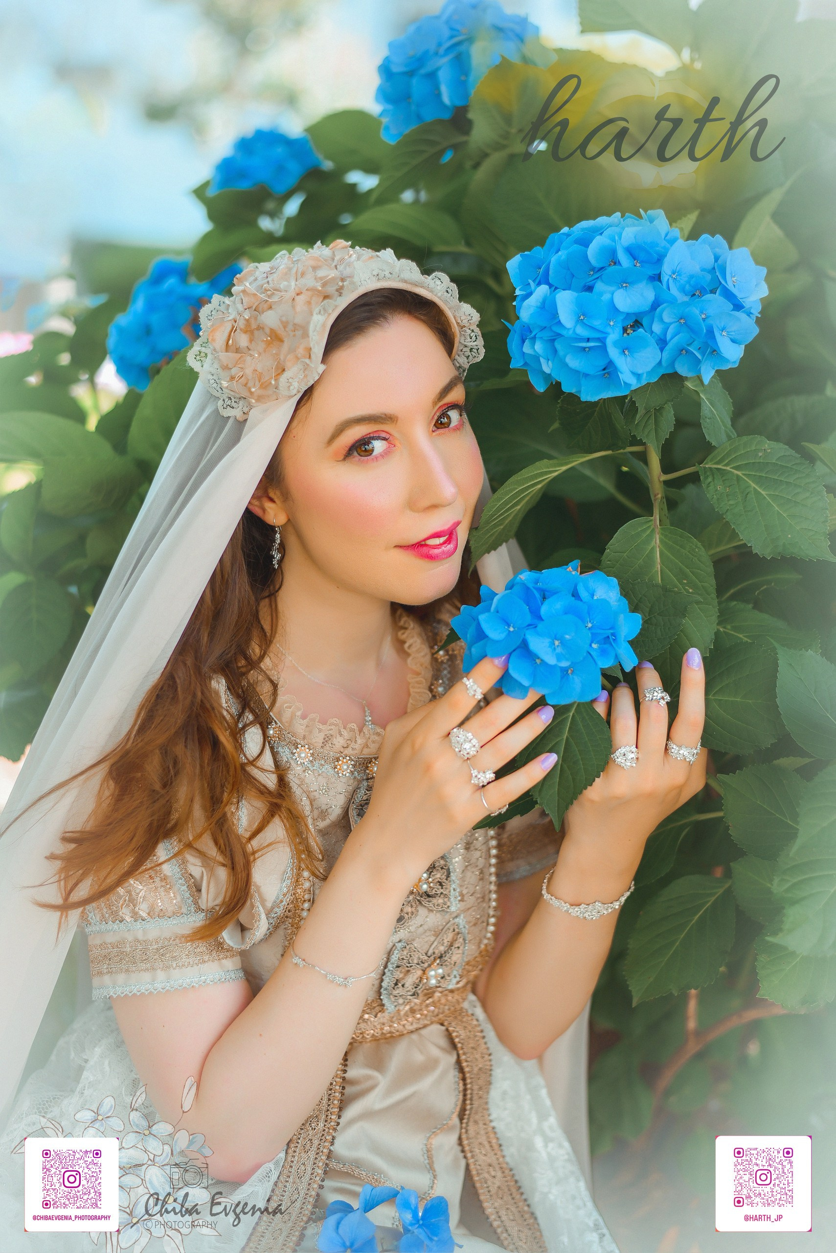 Hydrangea. Photographer in Tokyo, Japan