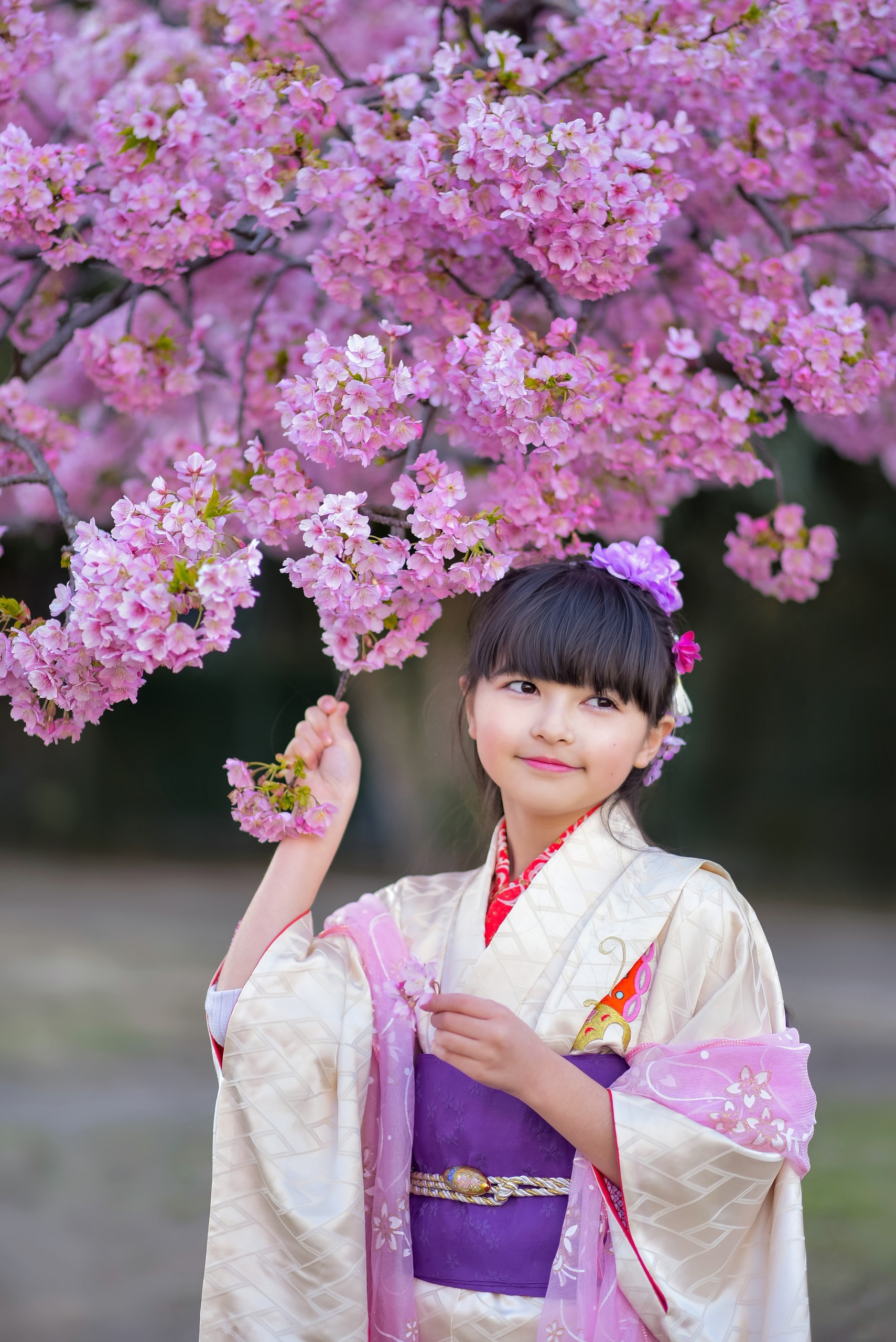 Rental kimono. Photographer in Tokyo, Japan