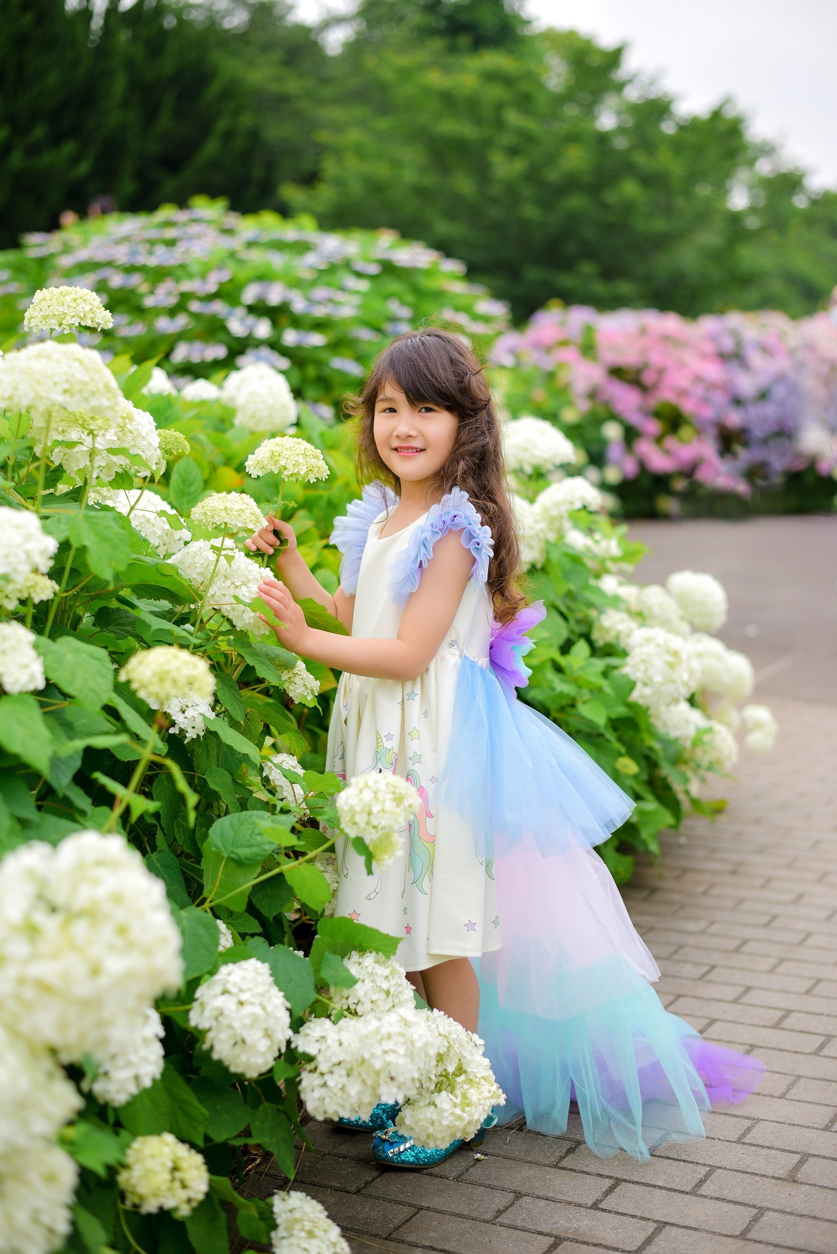 Rental dress. Photographer in Tokyo, Japan