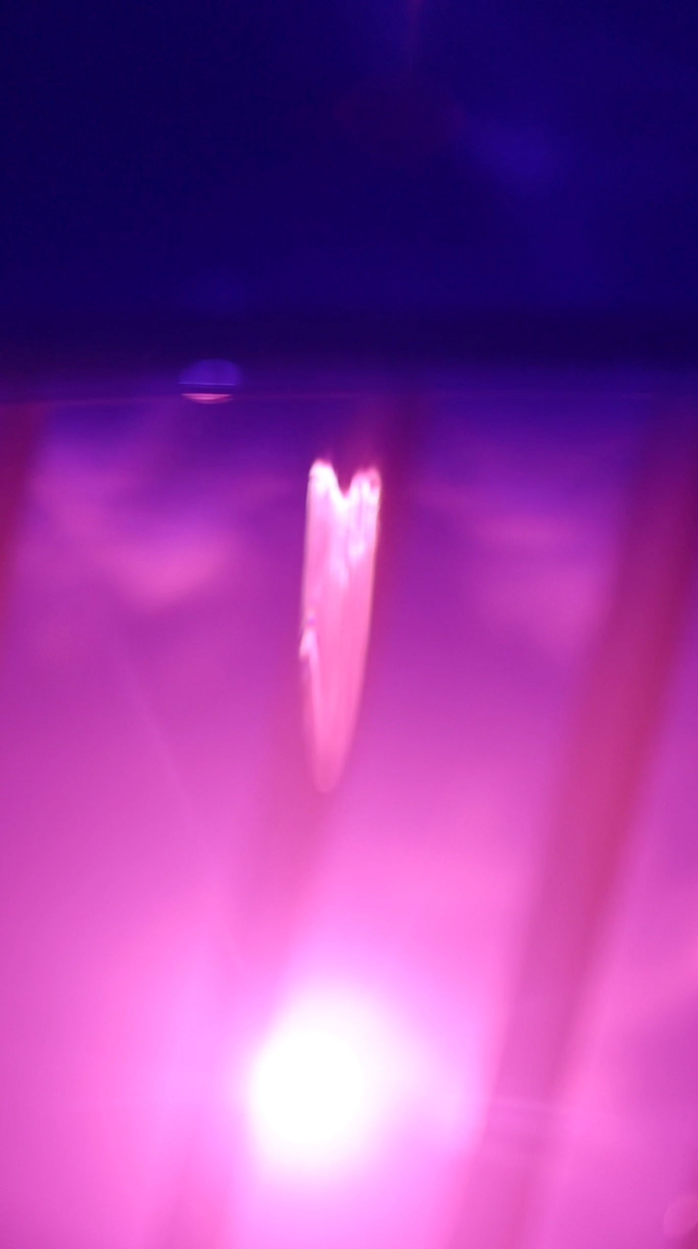 PINK EMOTIONS COLLECTION. Visual Artist Raisa Boiko