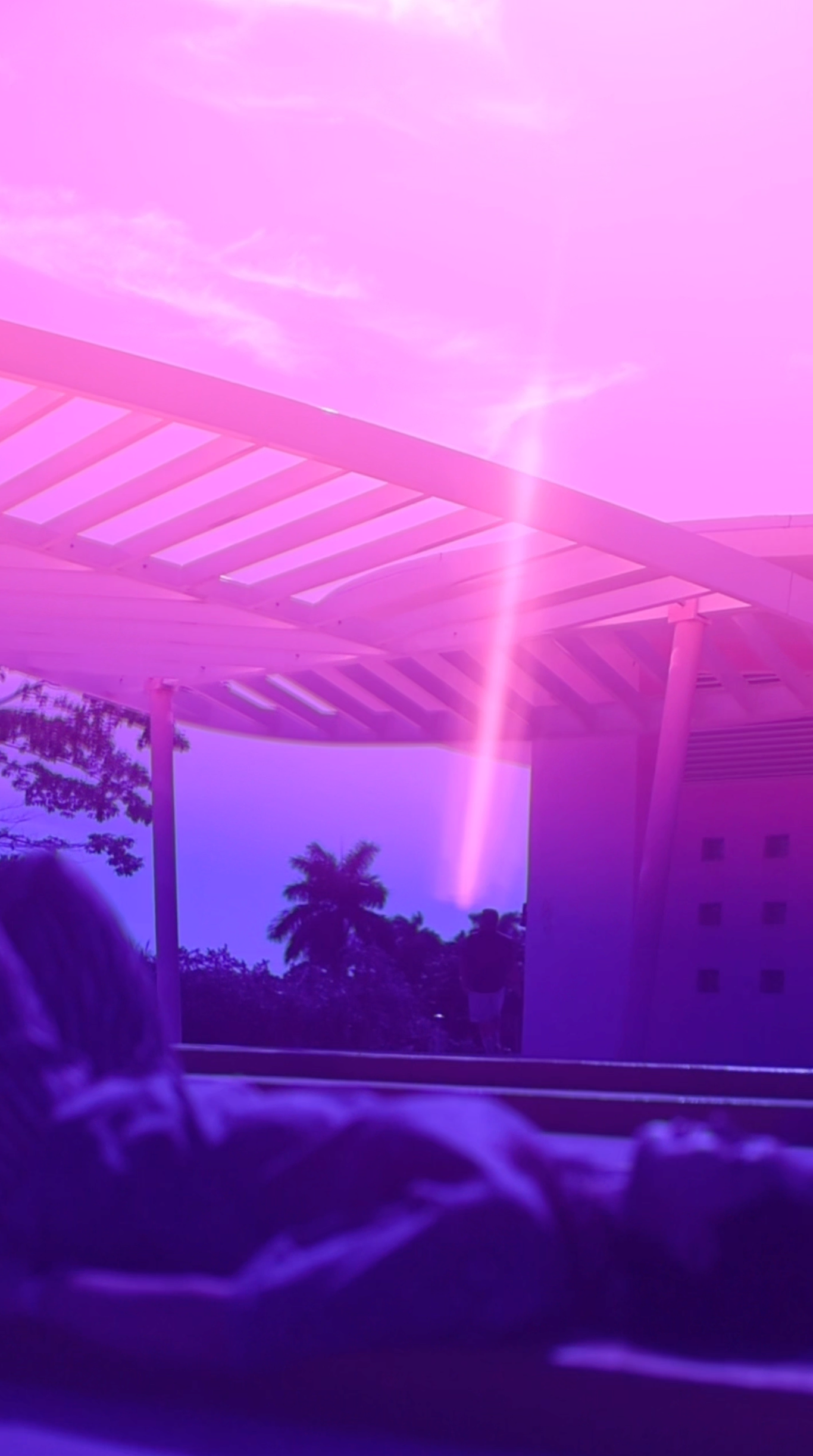 PINK EMOTIONS COLLECTION. Visual Artist Raisa Boiko