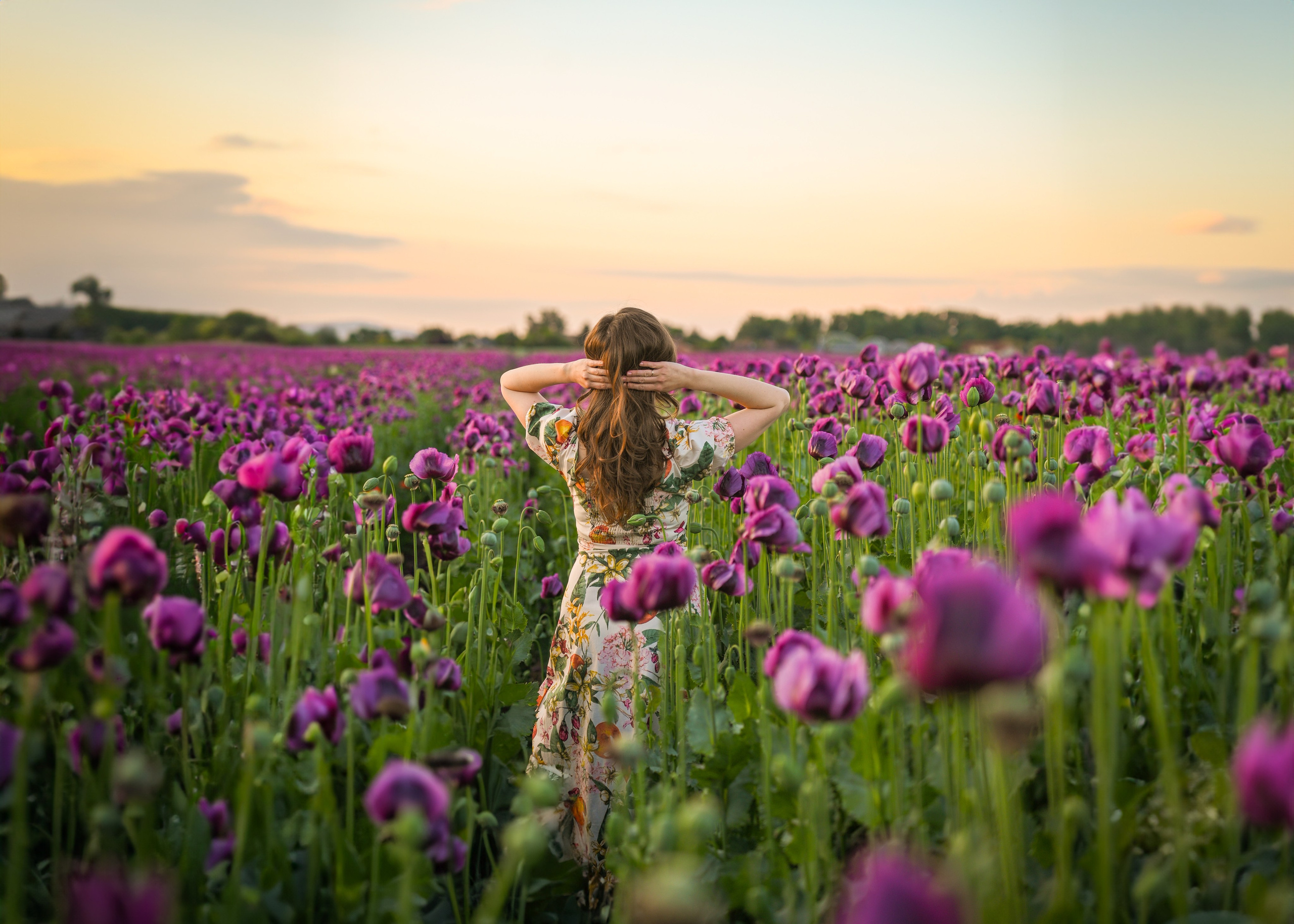 Contact. Photo Vienna and Bratislava