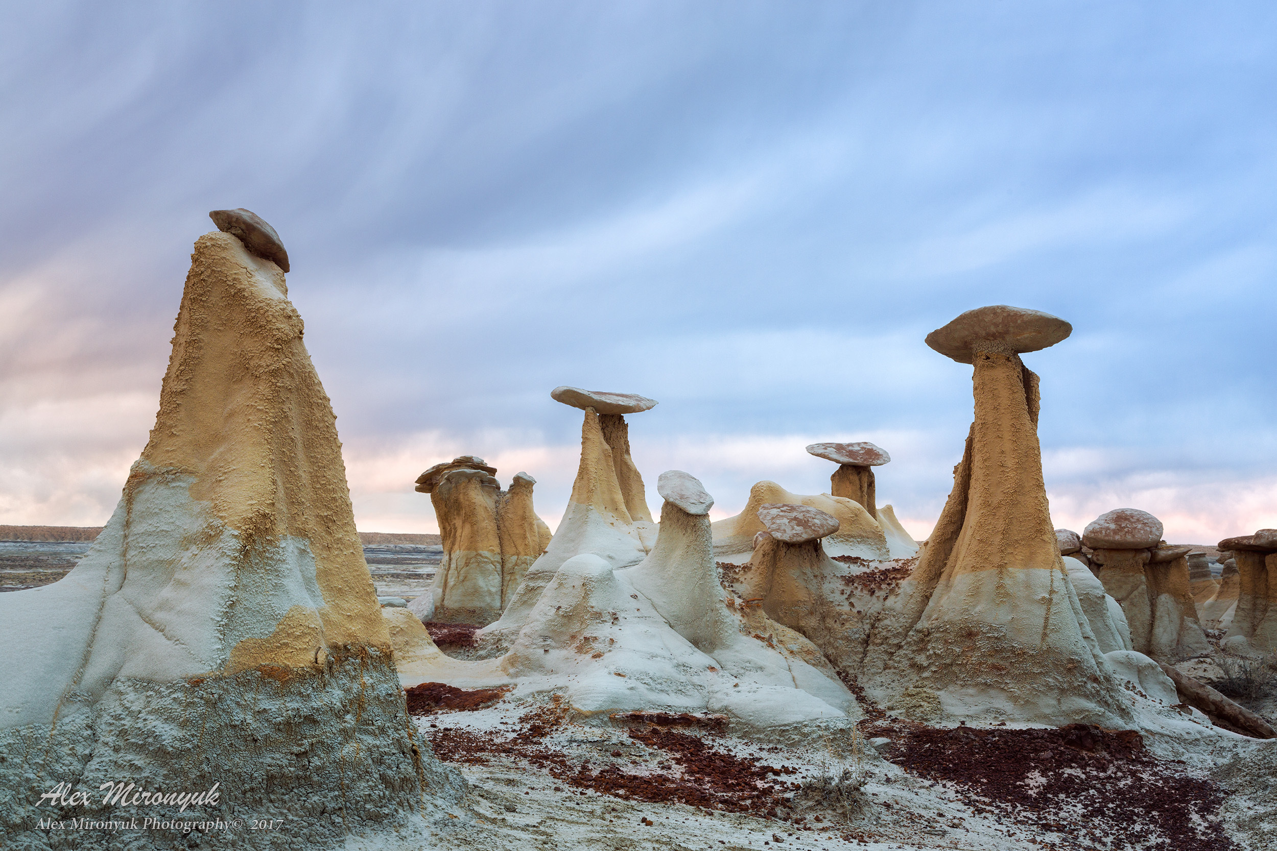 Itenerary. Pet, Senior, Landscape, portrait studio, photographer in Miami and Sou