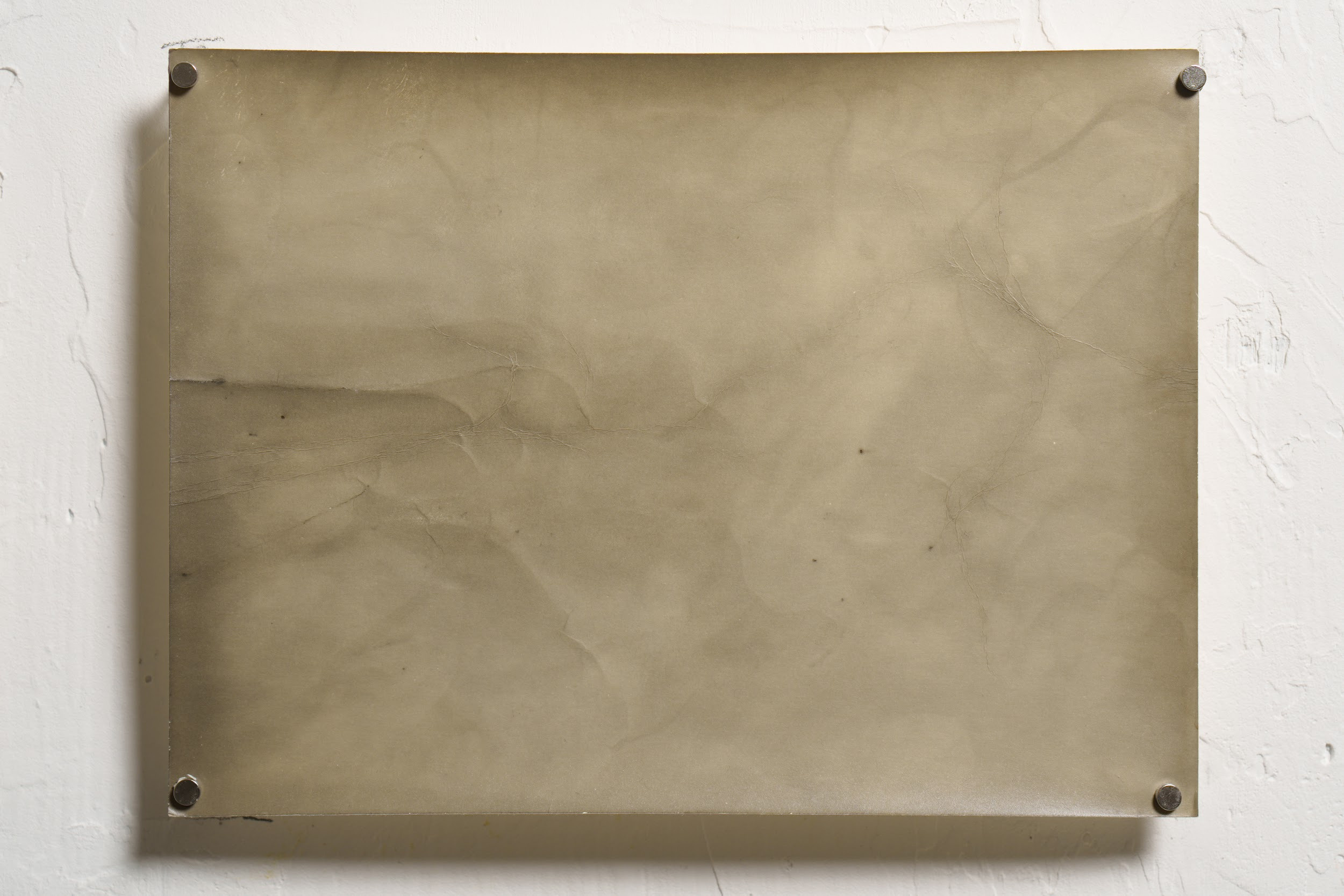 Untitled. Eugenia Ignatova multidisciplinary artist, photographer in Belgrade