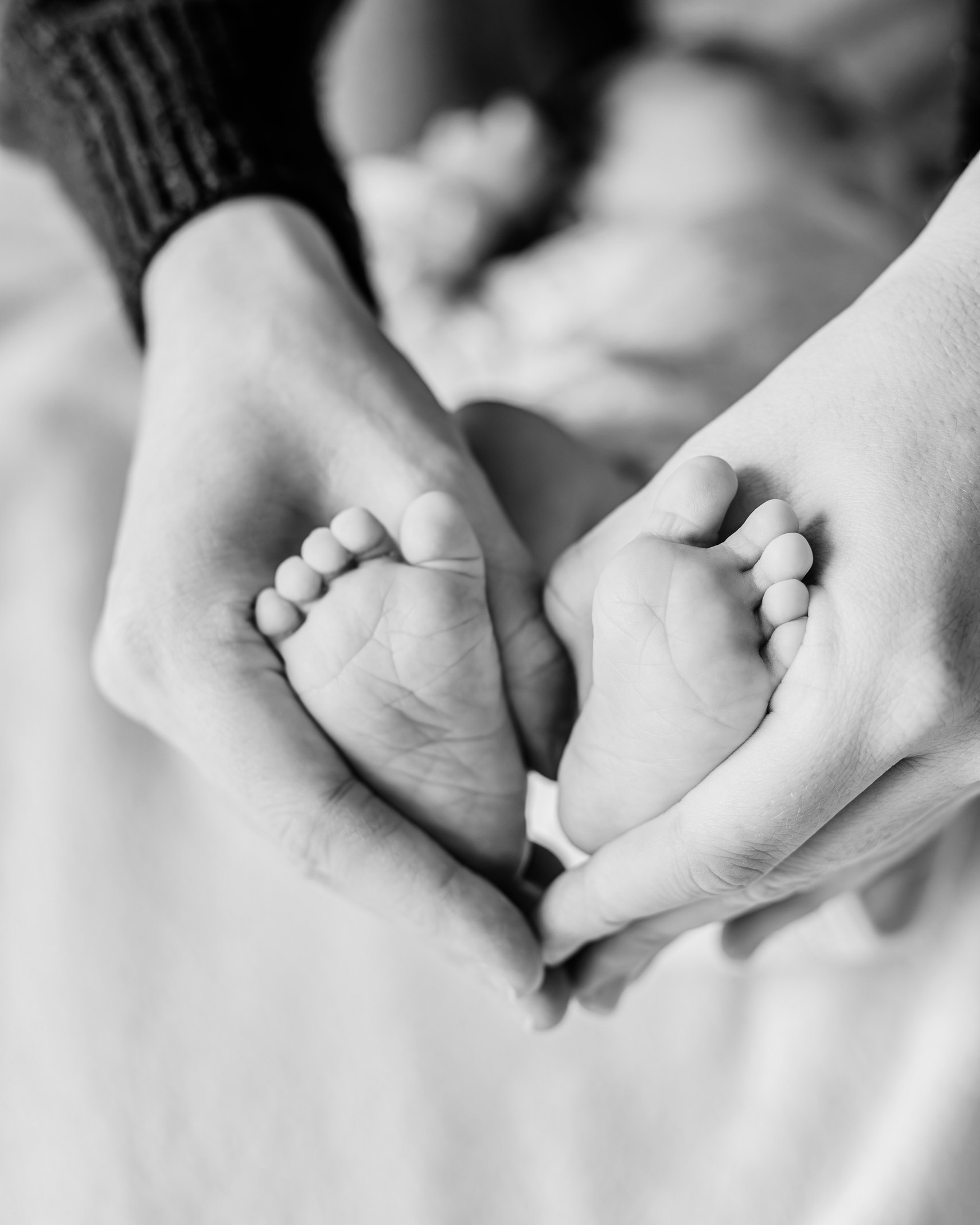 Примеры Evolution. Главная