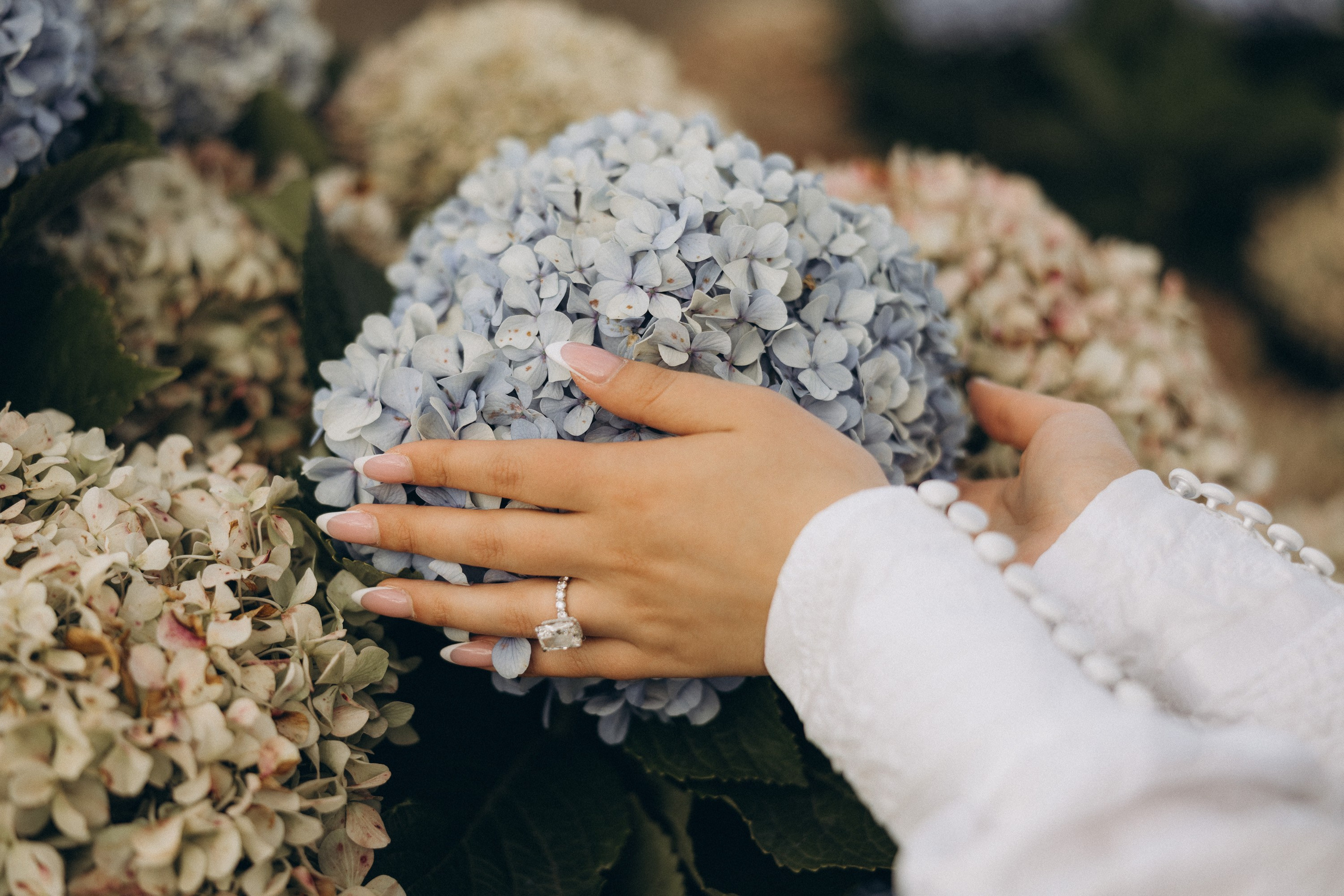 Photographer in Madeira — couple sessions, proposals, elopements and weddings. Authentic, emotional and cinematic photography