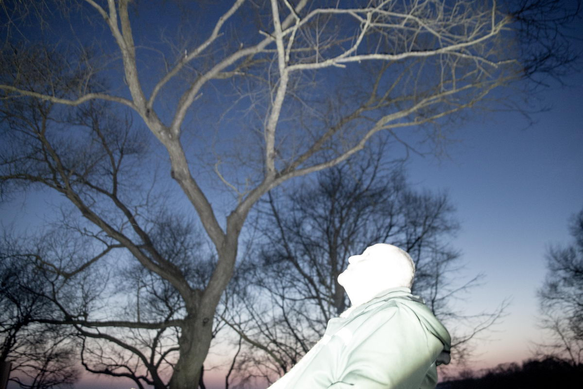 Students. Katya Bogachevskaya — independent curator, lecturer