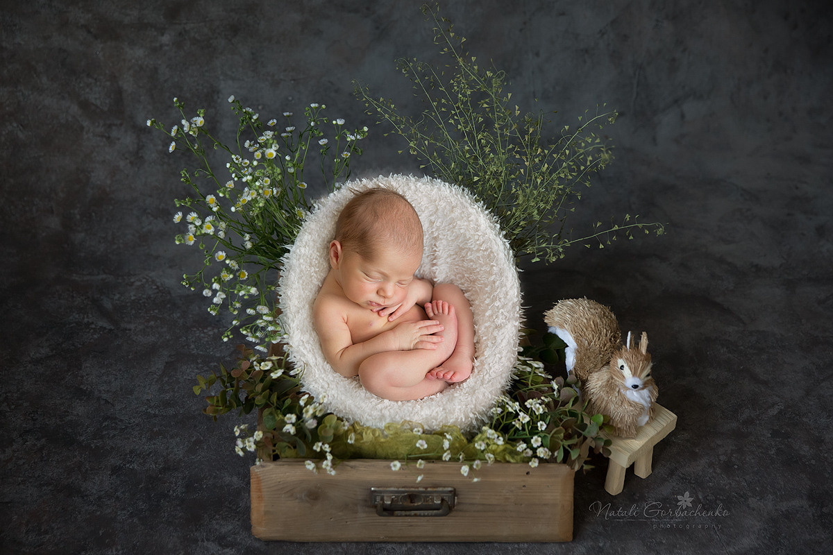 Аренда реквизиту на виїзд. Дитячий, сімейний, а також newborn фотограф і викладач у Києві Наталія
