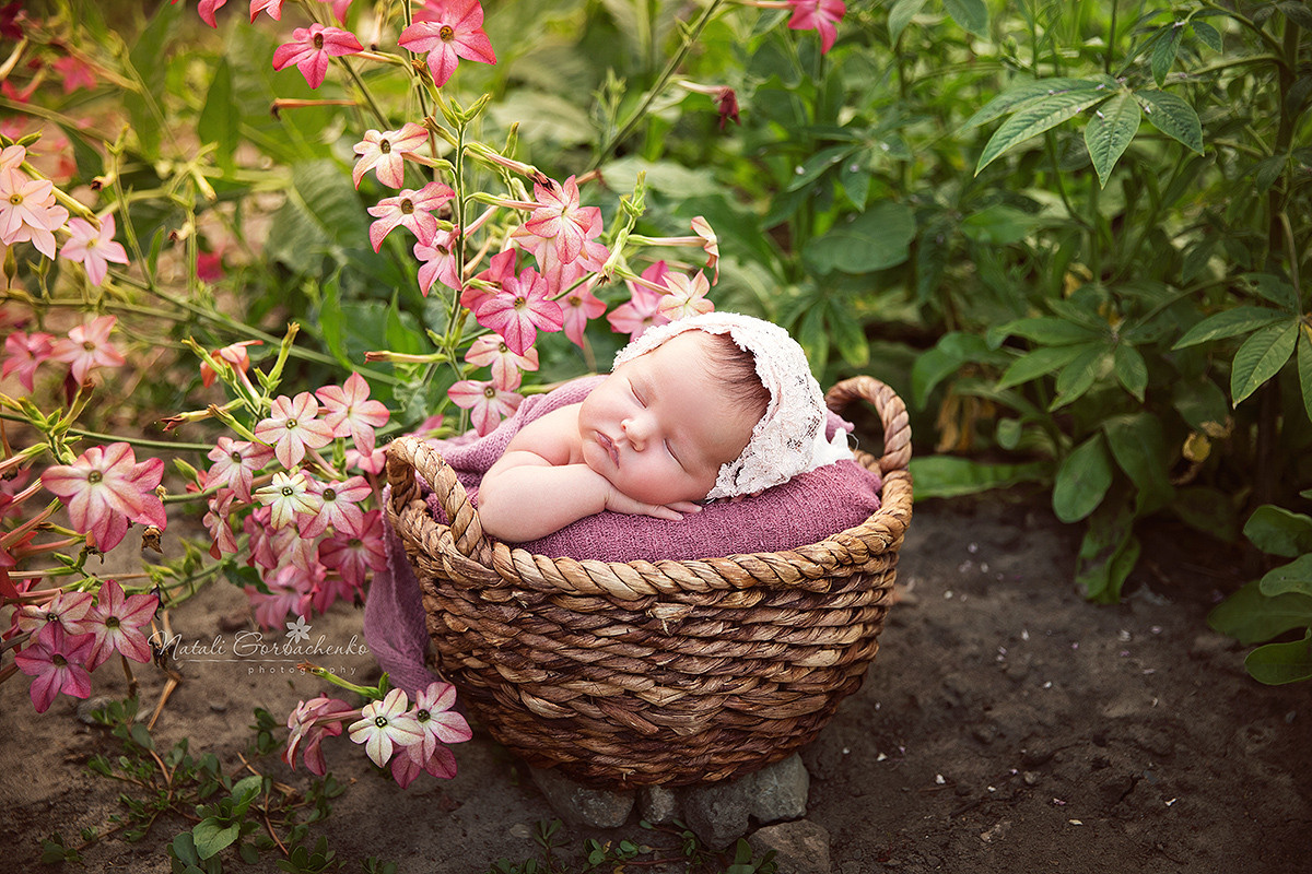Аренда реквизиту на виїзд. Дитячий, сімейний, а також newborn фотограф і викладач у Києві Наталія