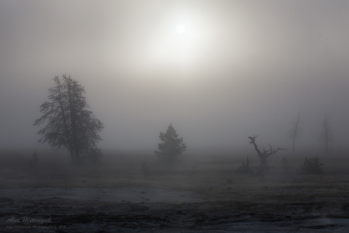 Список Оборудования. Alex Mironyuk Photography