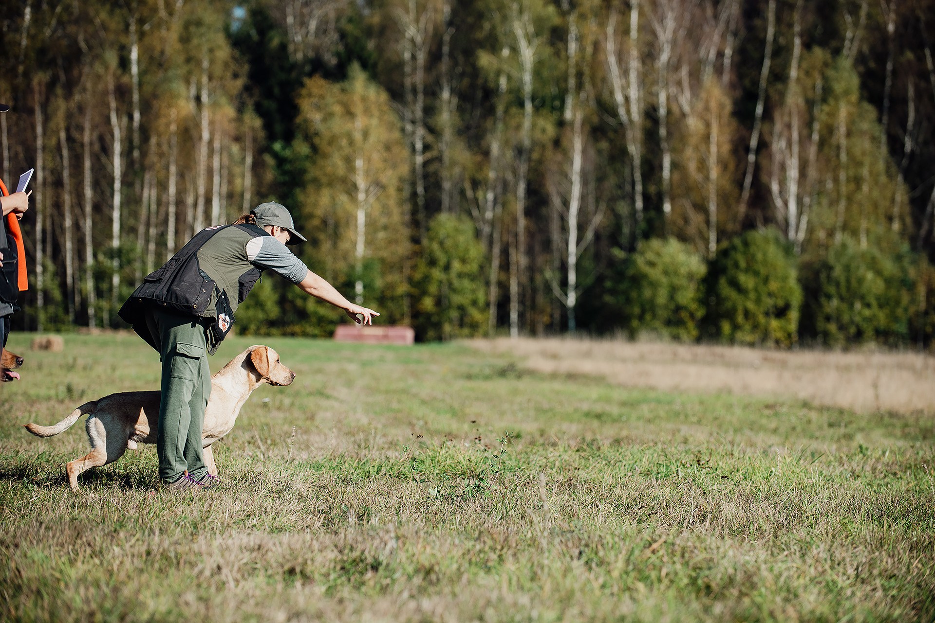 Фотоохота телеграм