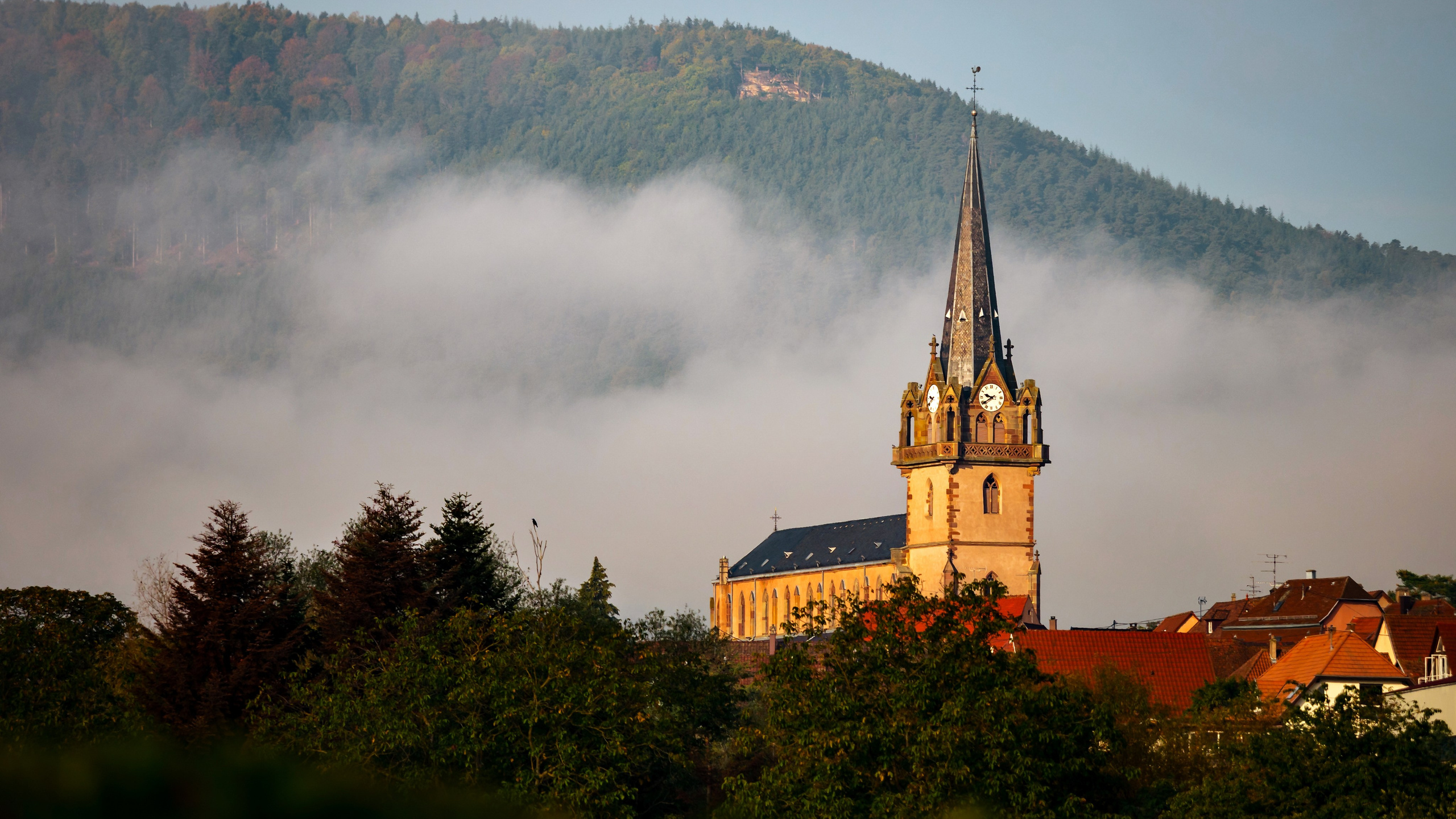 Archives de photographies. Galerie de photos. Portfolio du photographe. Photographe à Strasbourg | Portraits, Studio, Enfants, Événements