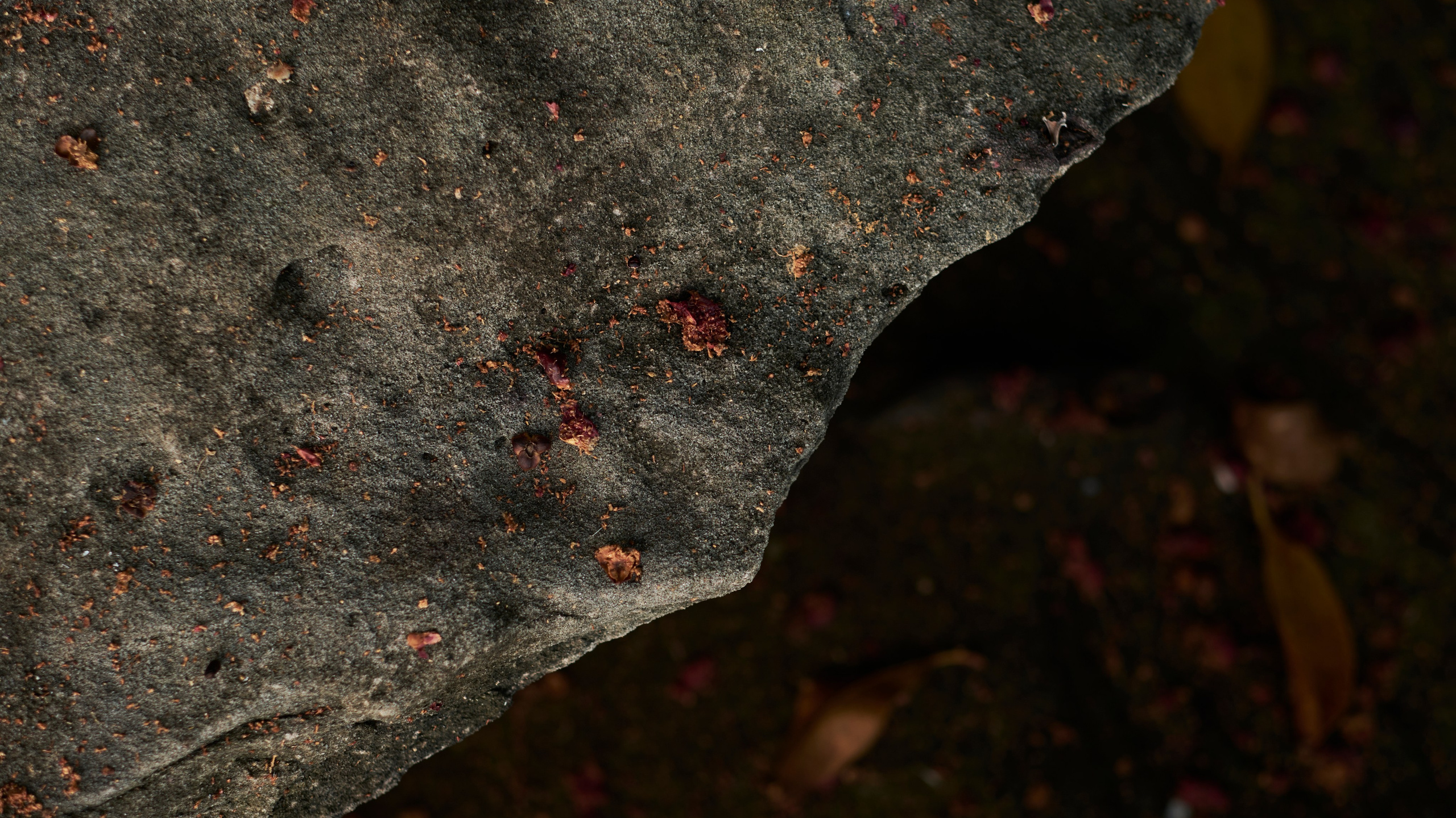 Echolith. Nature art photography by Petr Nabutov