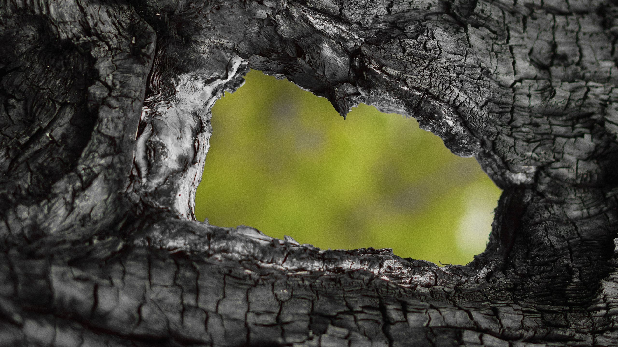 Echolith. Nature art photography by Petr Nabutov