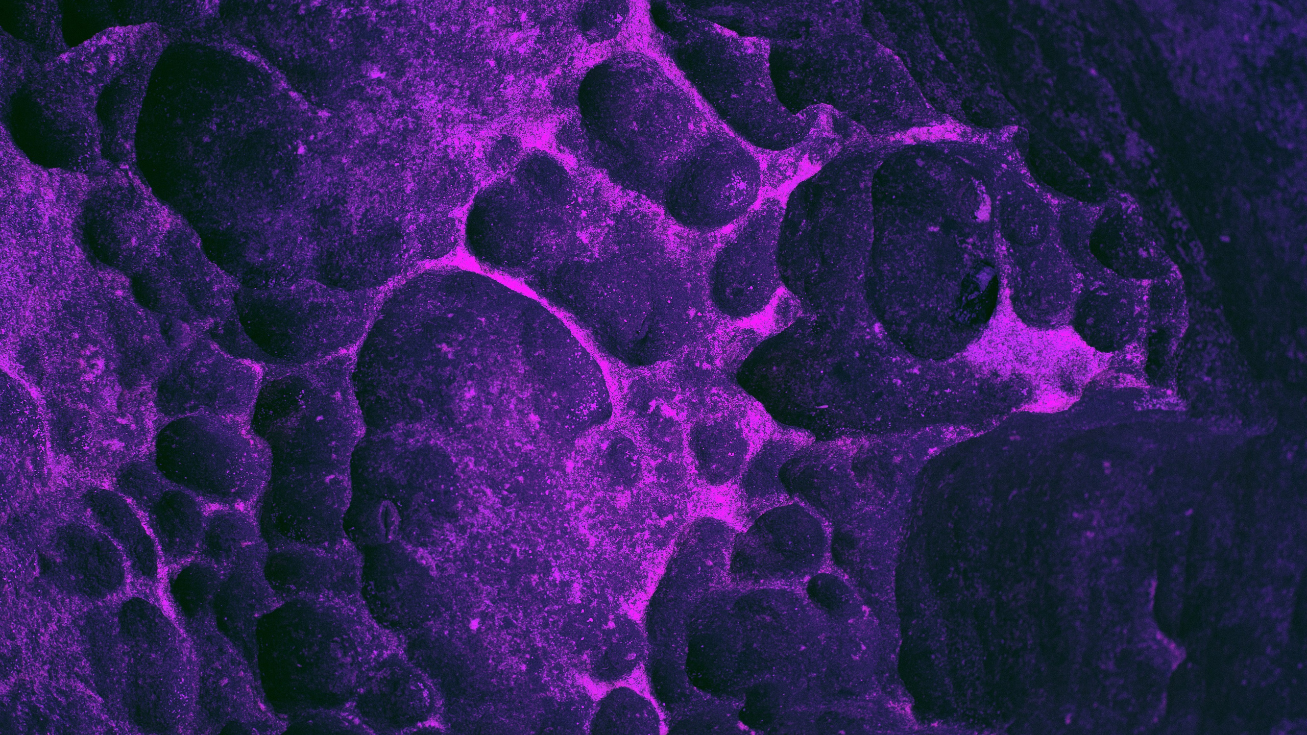 Echolith. Nature art photography by Petr Nabutov