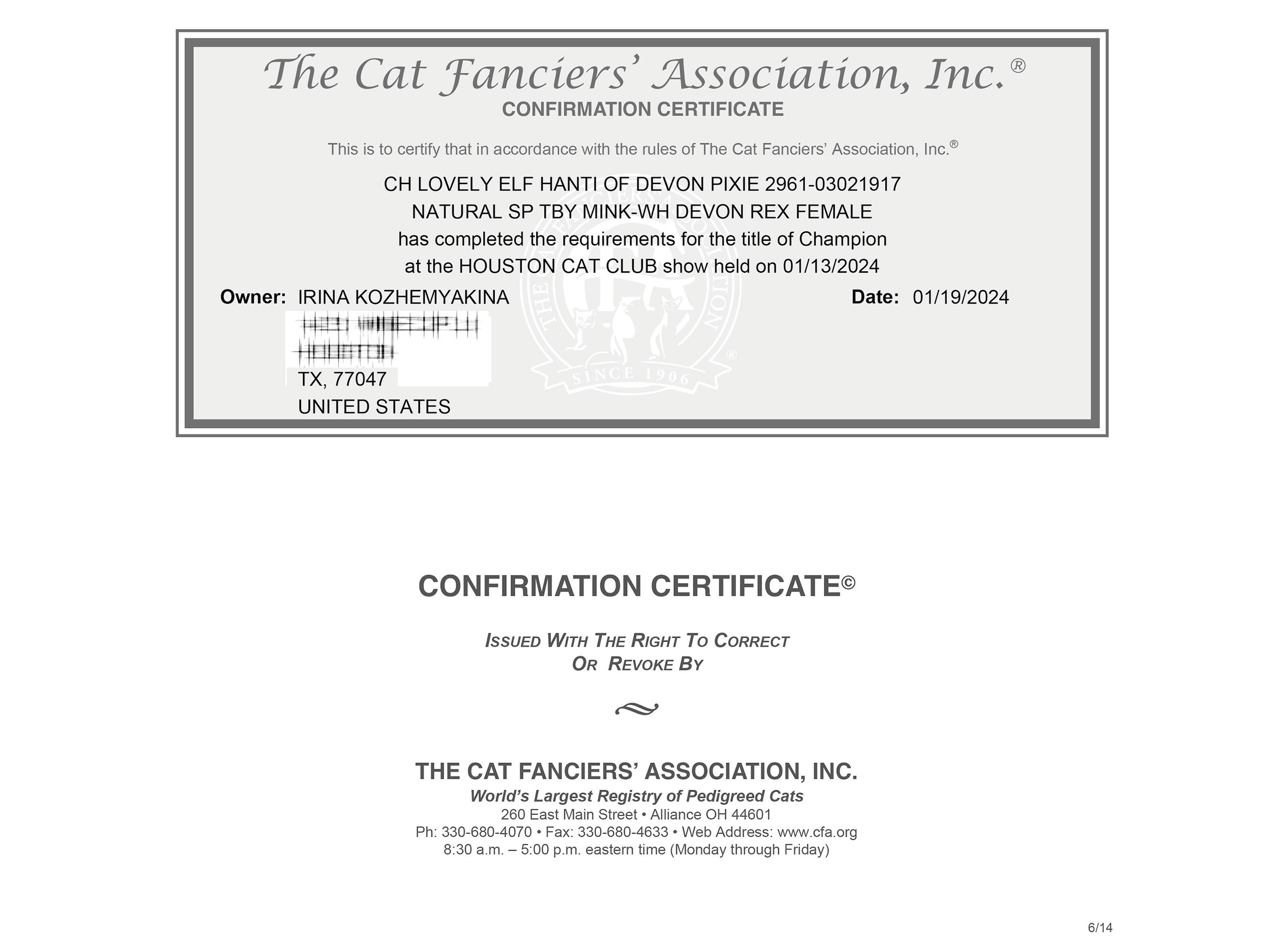 Champion Hanti. Devon Rex Pixie Cattery