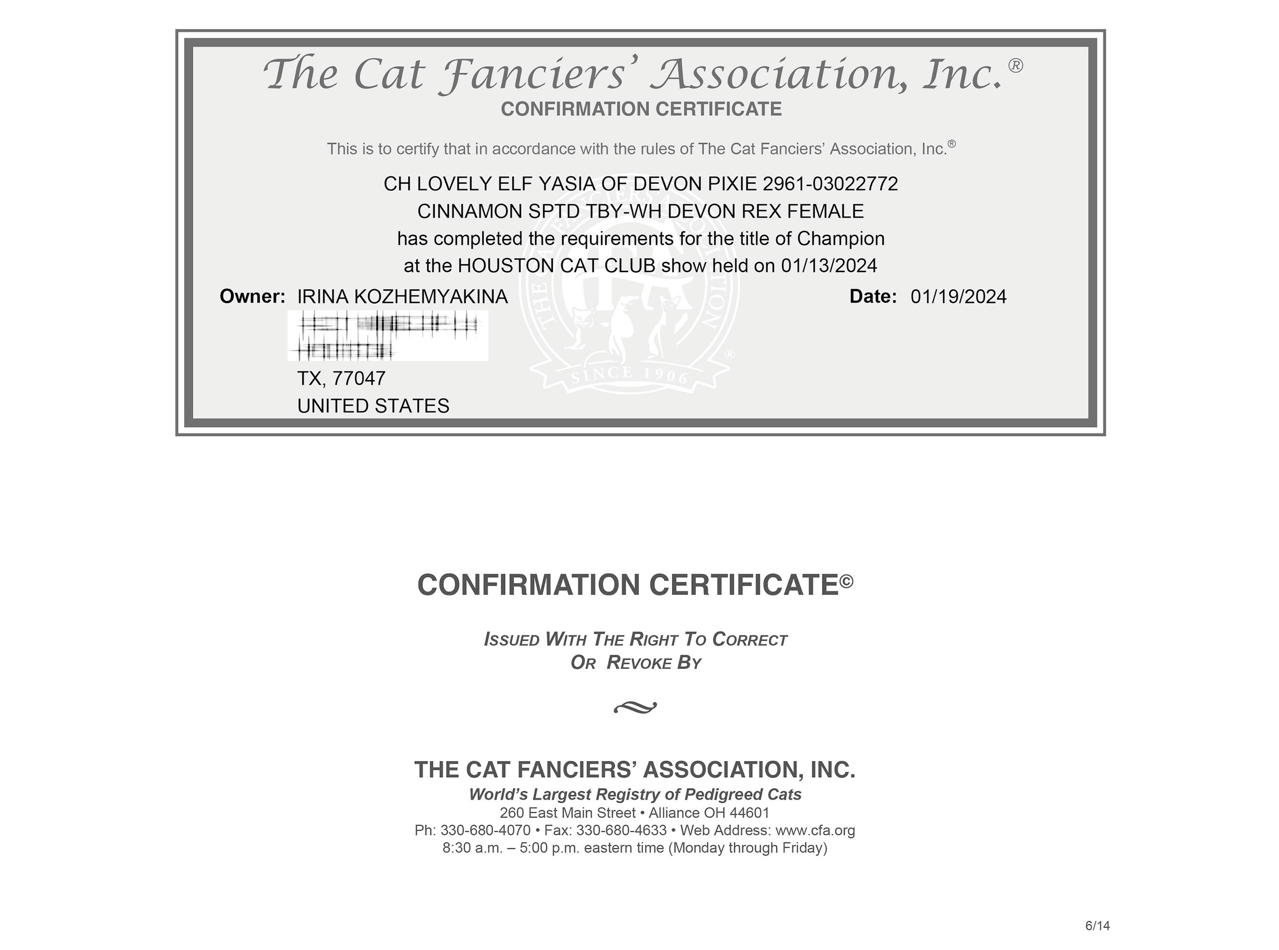 Champion Yasya. Devon Rex Pixie Cattery