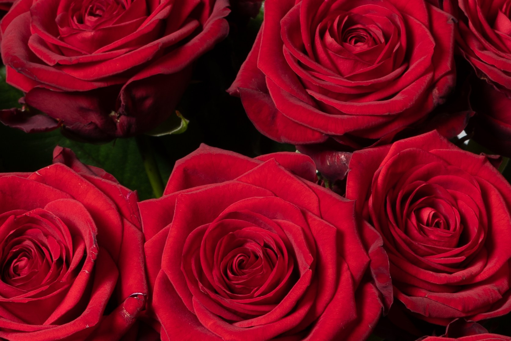 Valentins Dag blomster – Akropolis BlomsterFejr kærligheden med smukke blomster fra Akropolis Blomster på Valentins Dag. Vi tilbyder et bredt udvalg af buketter og blomsterarrangementer, der perfekt udtrykker dine følelser. Bestil din Valentins Dag buket i dag og få den leveret hurtigt i Aarhus.