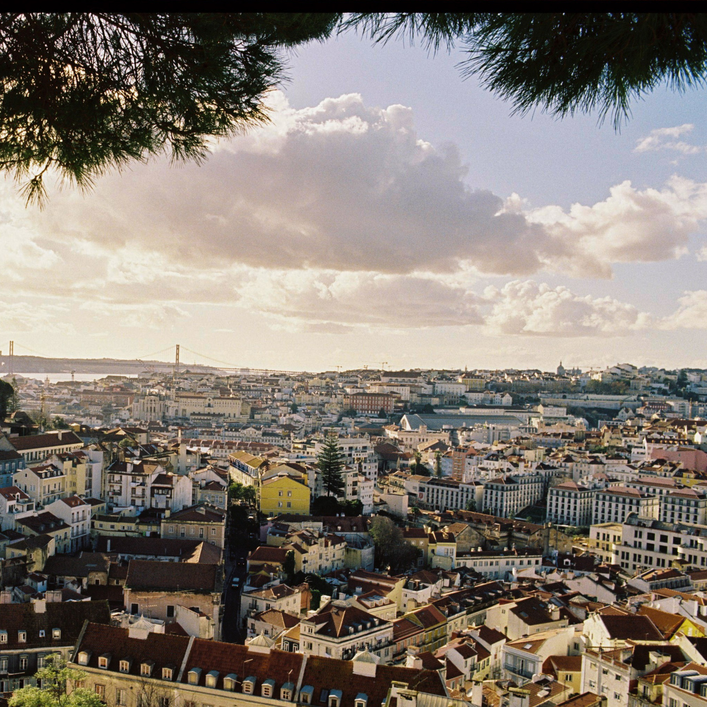 Lilit Danielyan — Photographer, Filmmaker, and Educator in Lisbon, Portugal