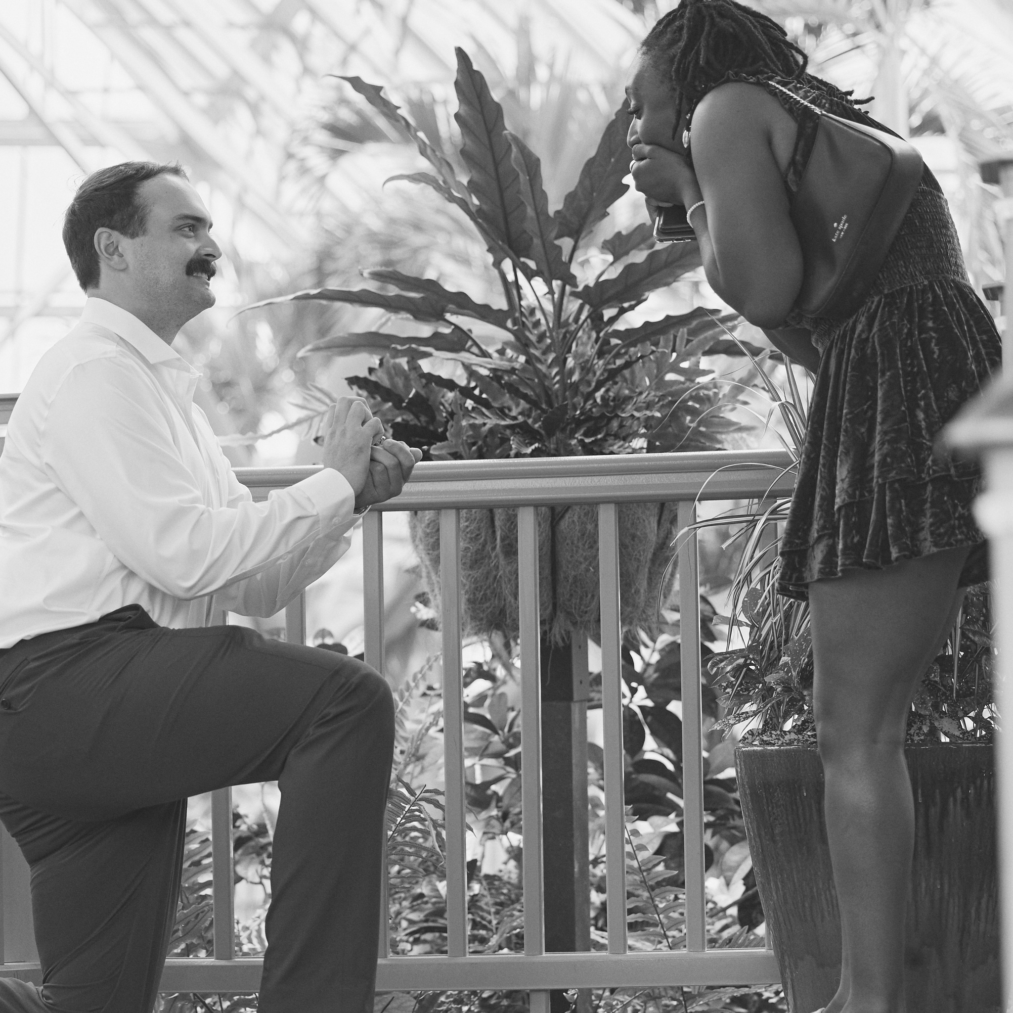 Romantic Proposal at Franklin Park Conservatory | Columbus Proposal Photographer (1). Kovyphoto
