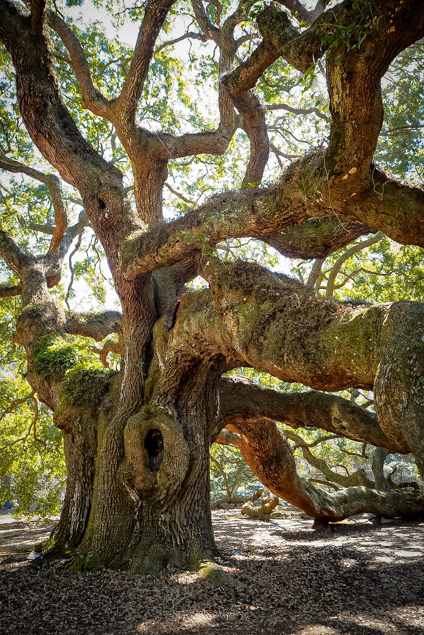 Travel and family photographer in South Carolina