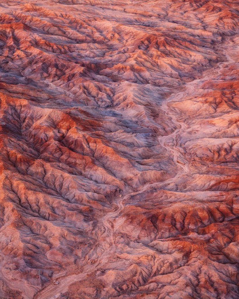 Eagle’s View — Arizona. Pet, Senior, Landscape, portrait studio, photographer in Miami and Sou