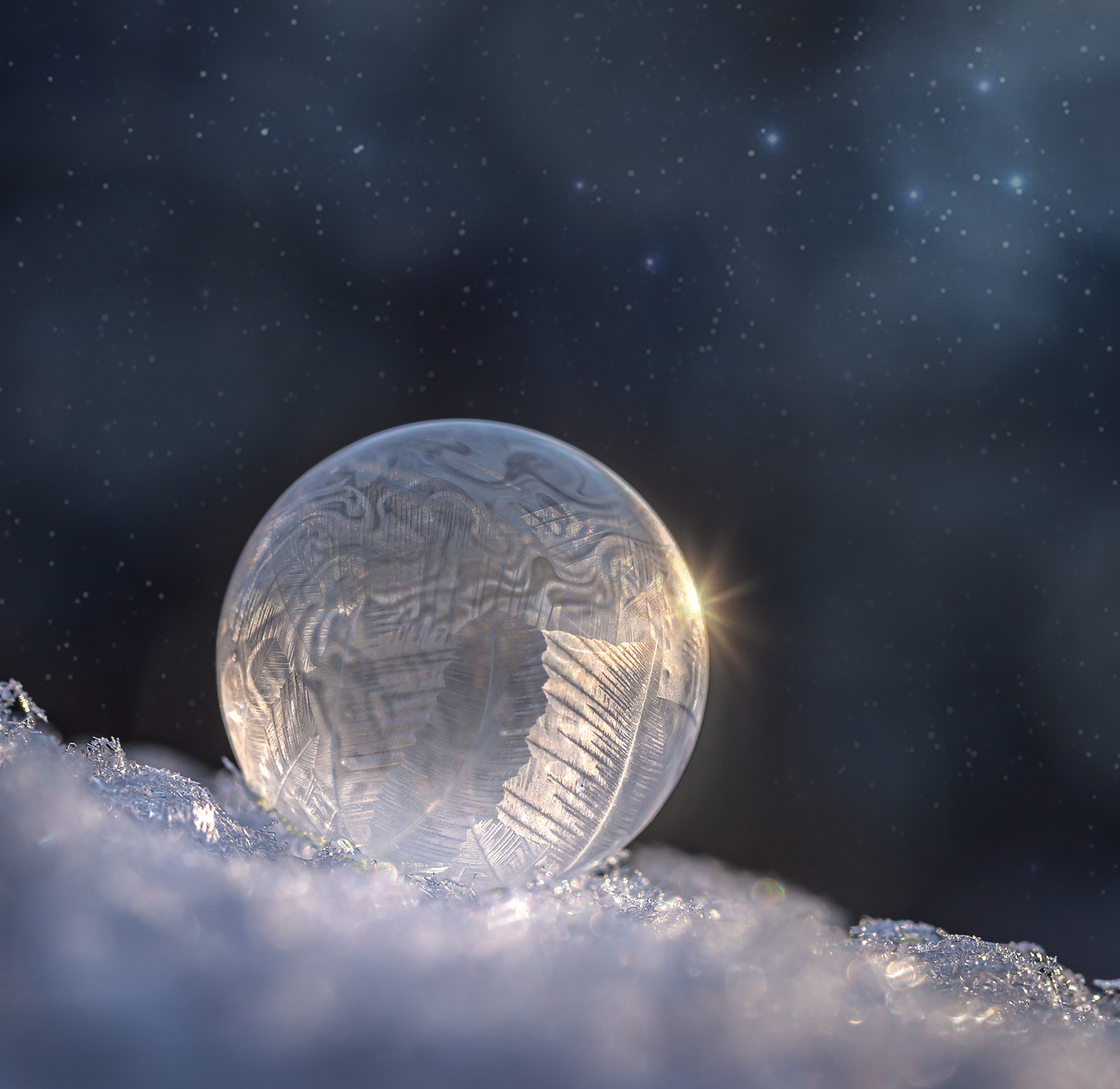 Landscape Garden and Interior photo shoot. Garden and interior photographer Elena Shavlovska, Netherlands