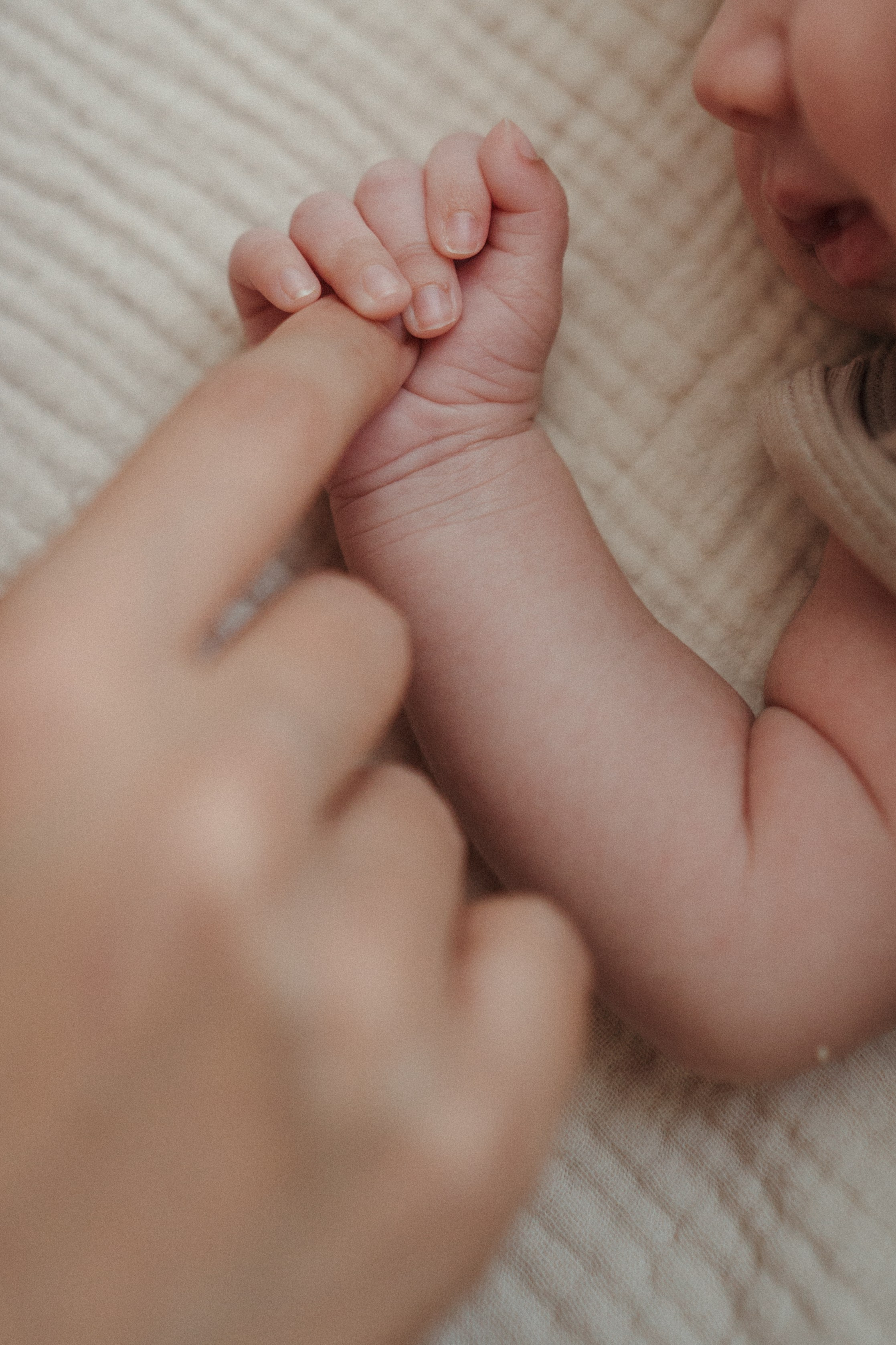 Family photographer in Saudi Arabia