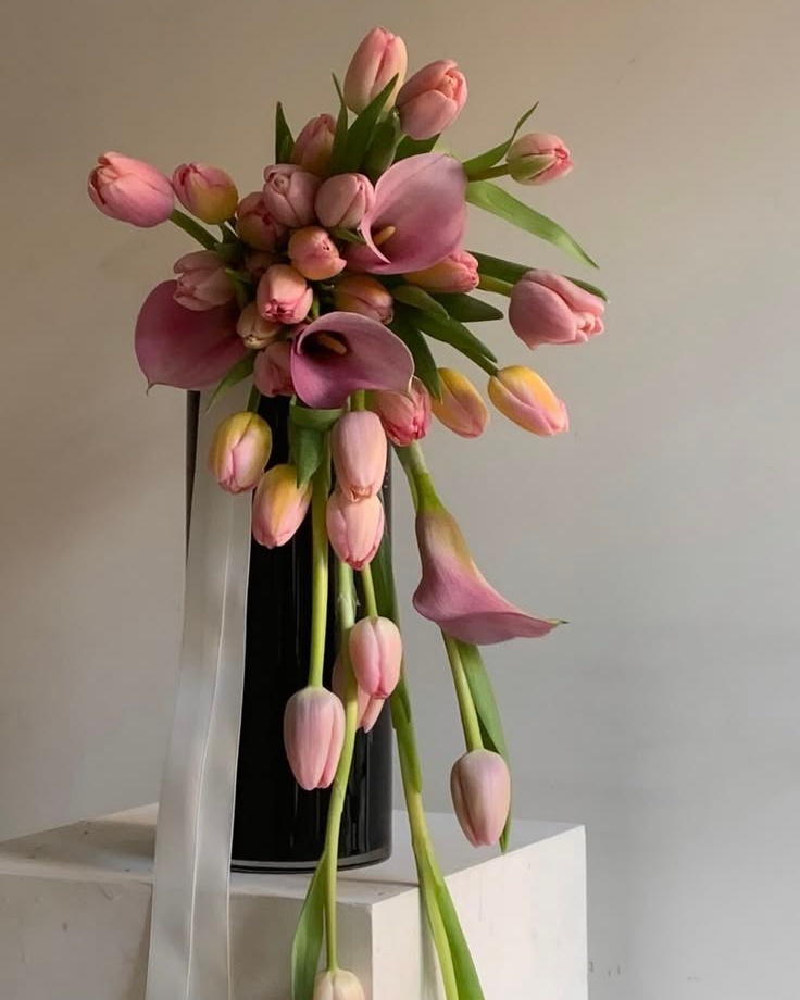 16 — 17 April 2026. Palazzo Novello, Brescia. Aleksandra Lansoni