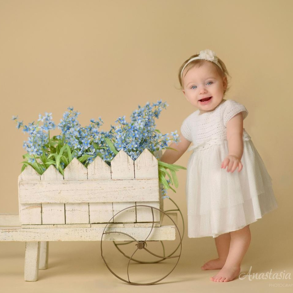 Pricing. Family photographer in Roseville, Rocklin, Folsom, Sacramento