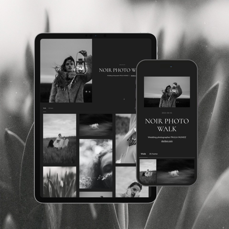 Free client galleries plan for photohraphers