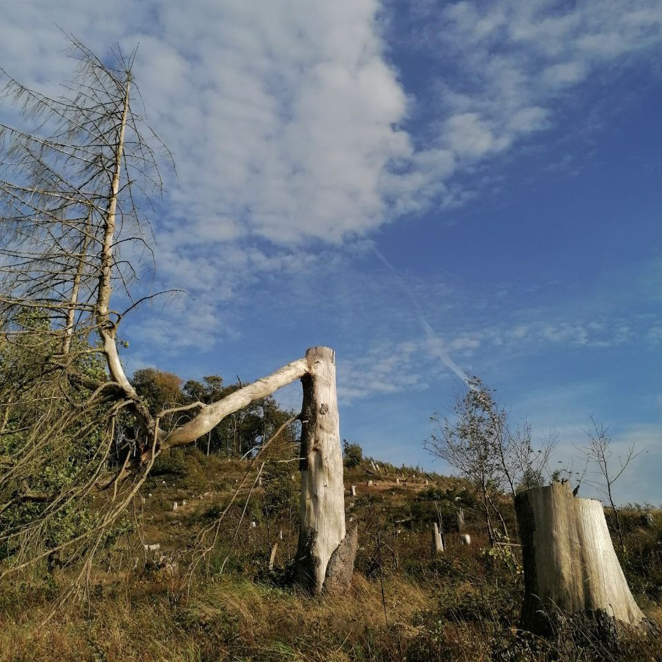 Wikinger-Fotoshooting. Fotograf NRW aus Wickede Ruhr, Milla Kunst