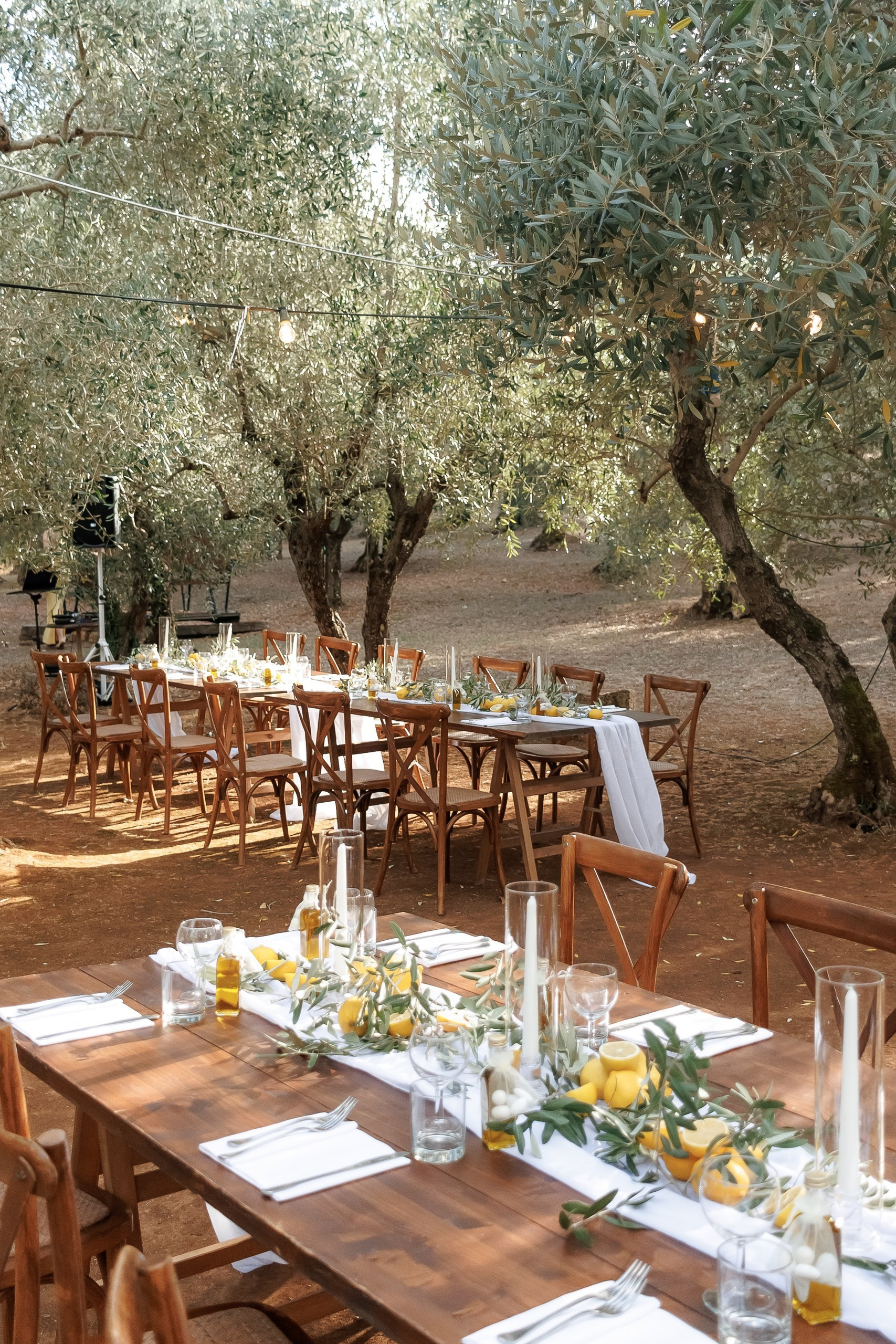 Festlich gedeckte Hochzeitstafel unter Olivenbäumen, Hochzeit an der Costa Blanca bei Alicante